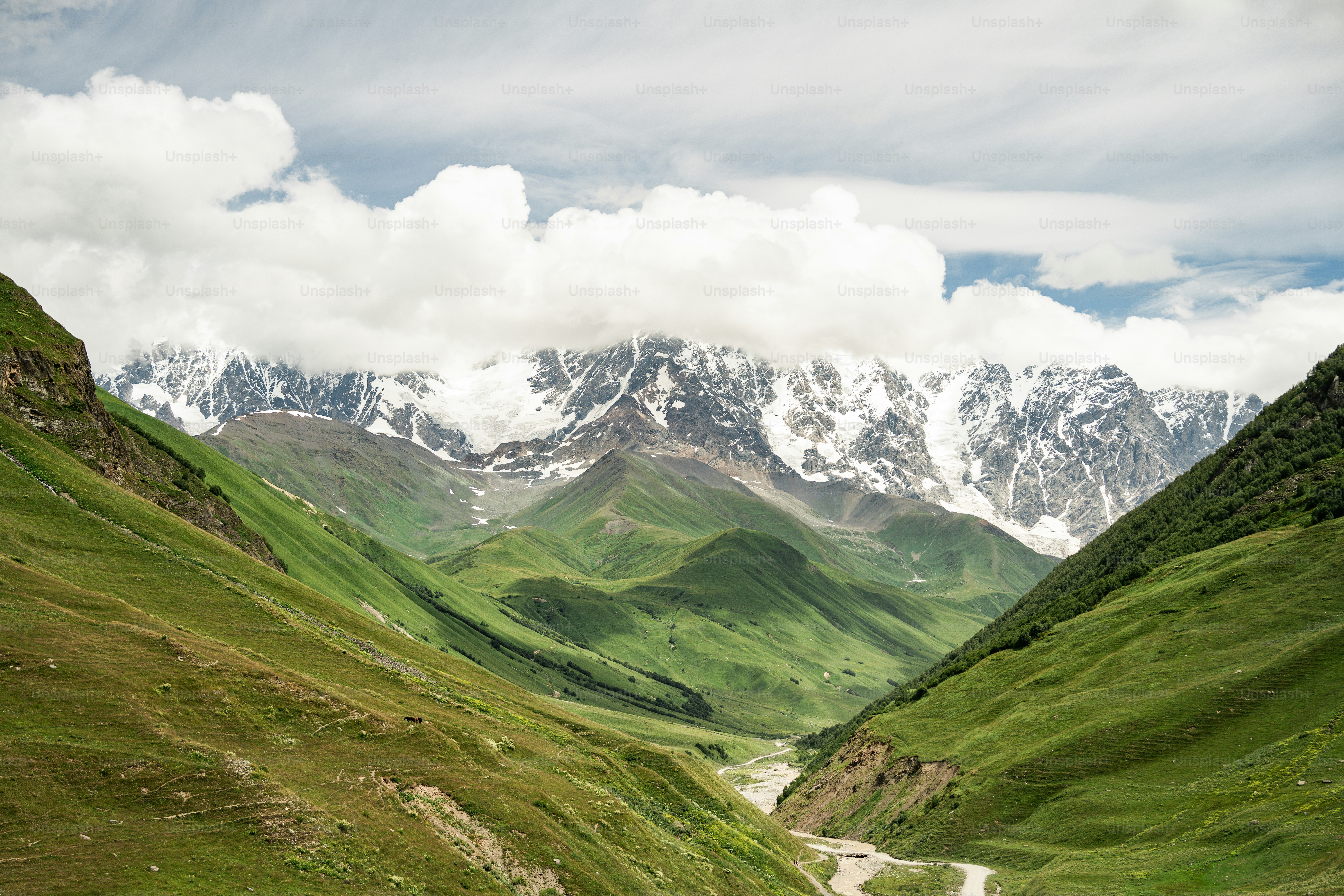 A view of a valley with mountains in the background