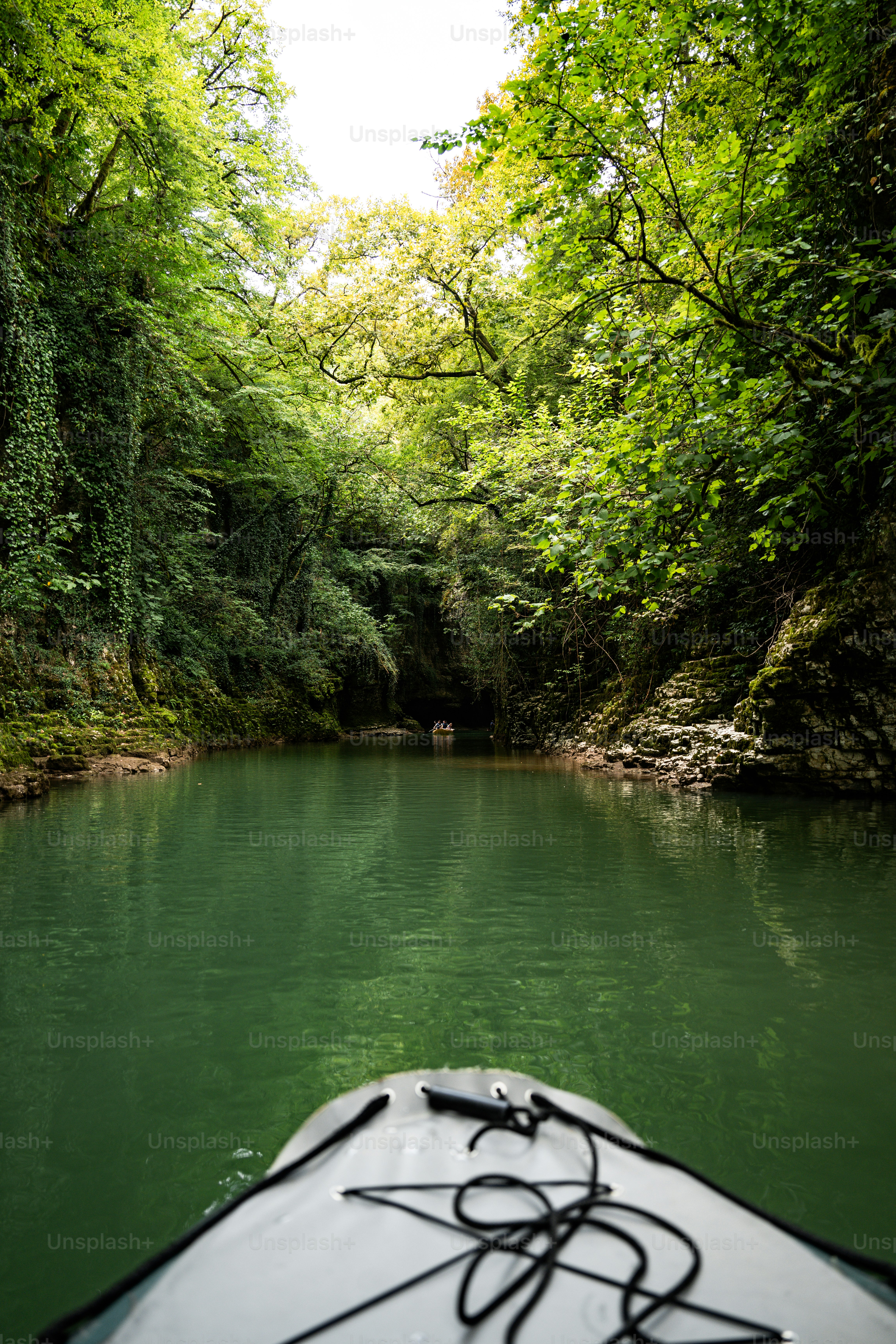 Un barco que navega por un río junto a un frondoso bosque verde