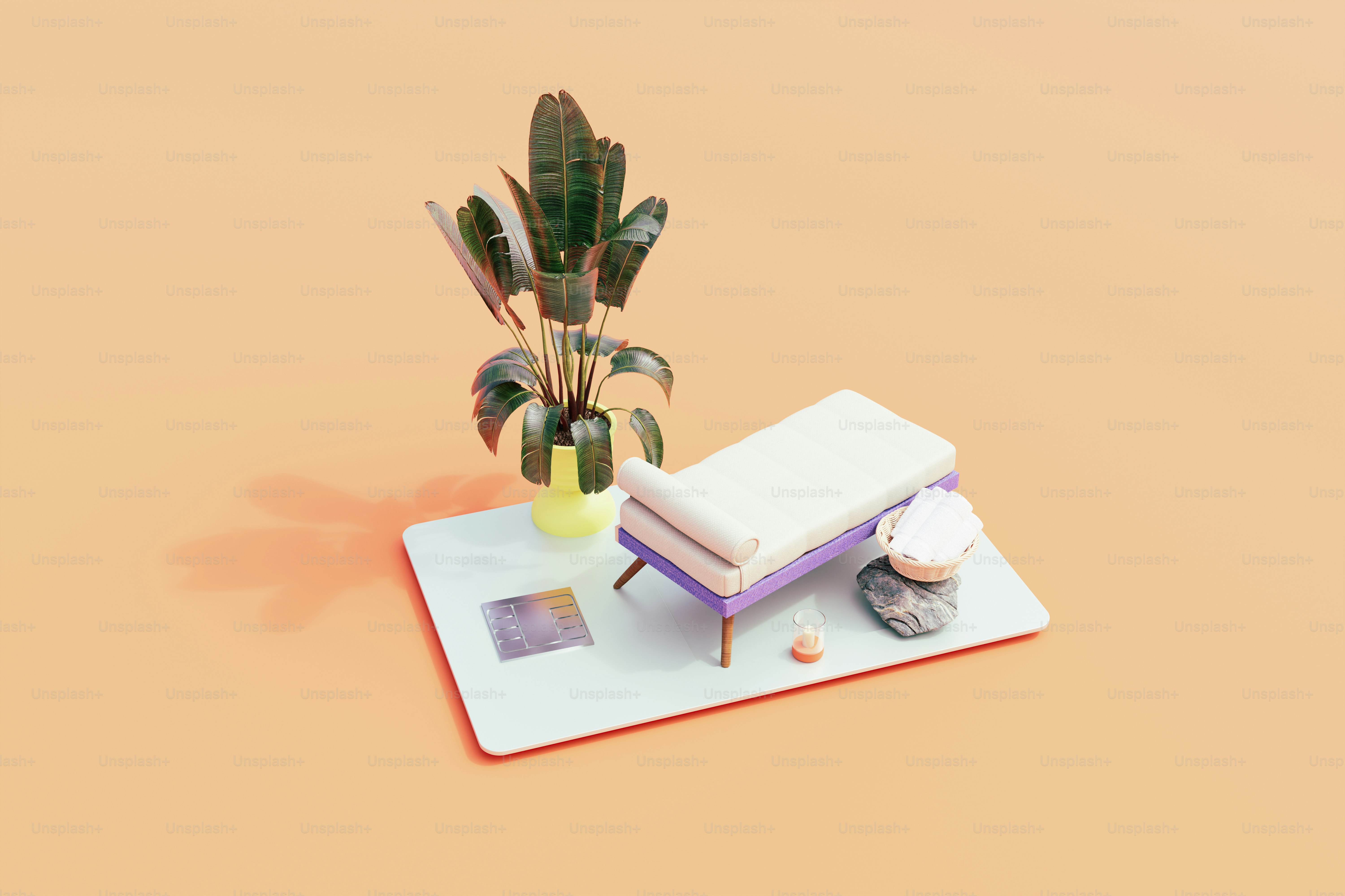 Ein Buch und eine Pflanze auf einem Tisch