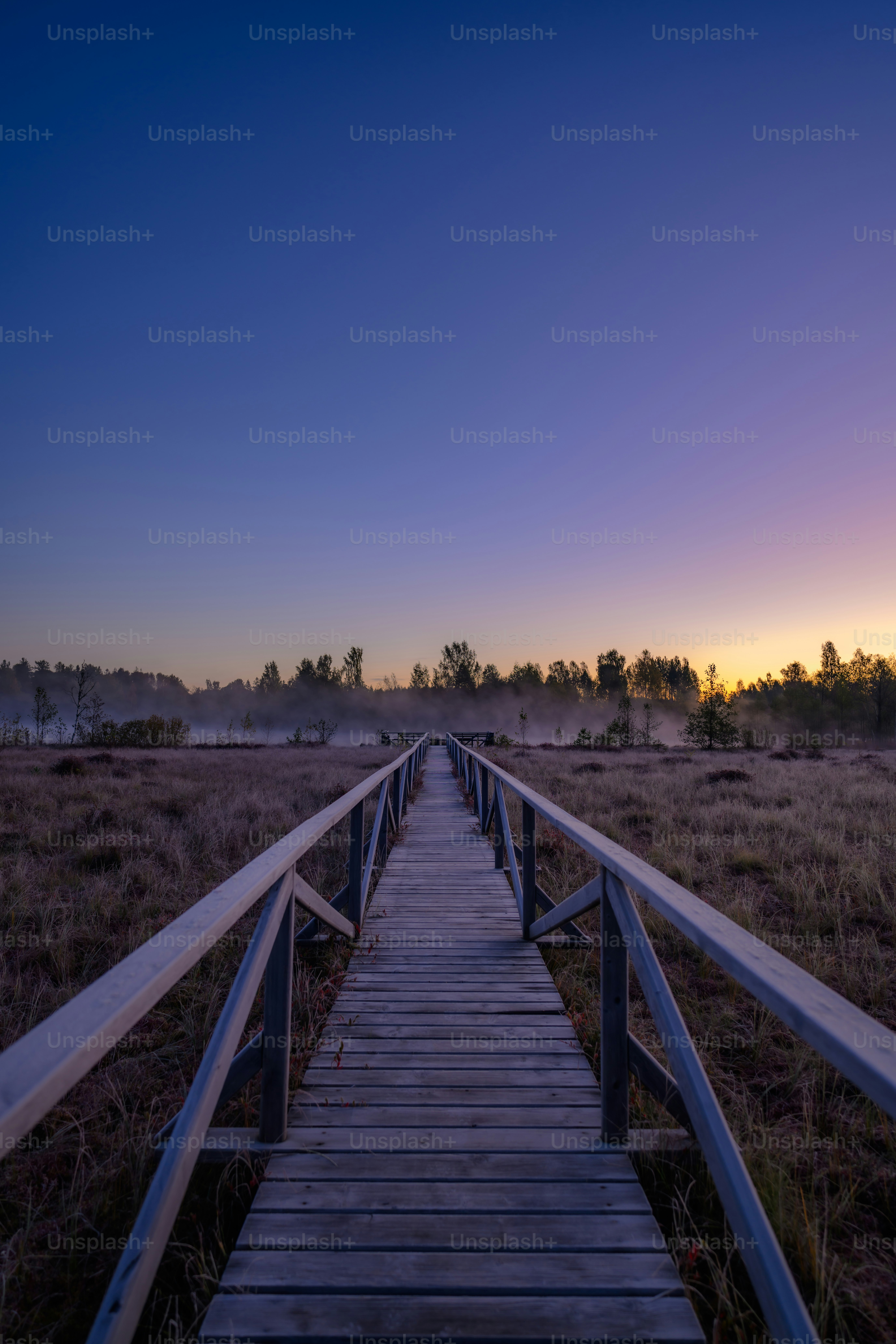 Ein Holzsteg, der bei Sonnenuntergang zu einem Feld führt