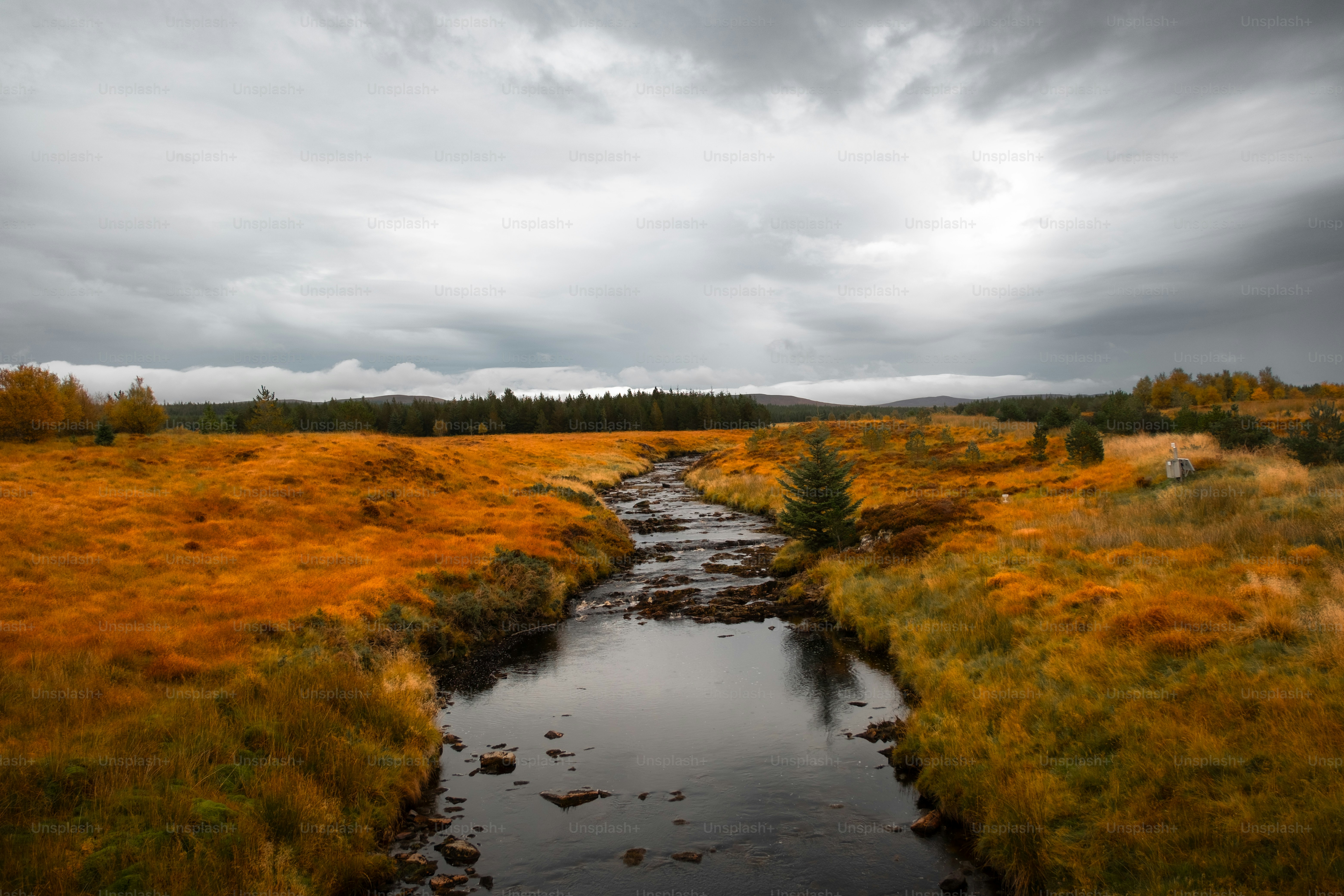 A stream running through a lush green field under a cloudy sky