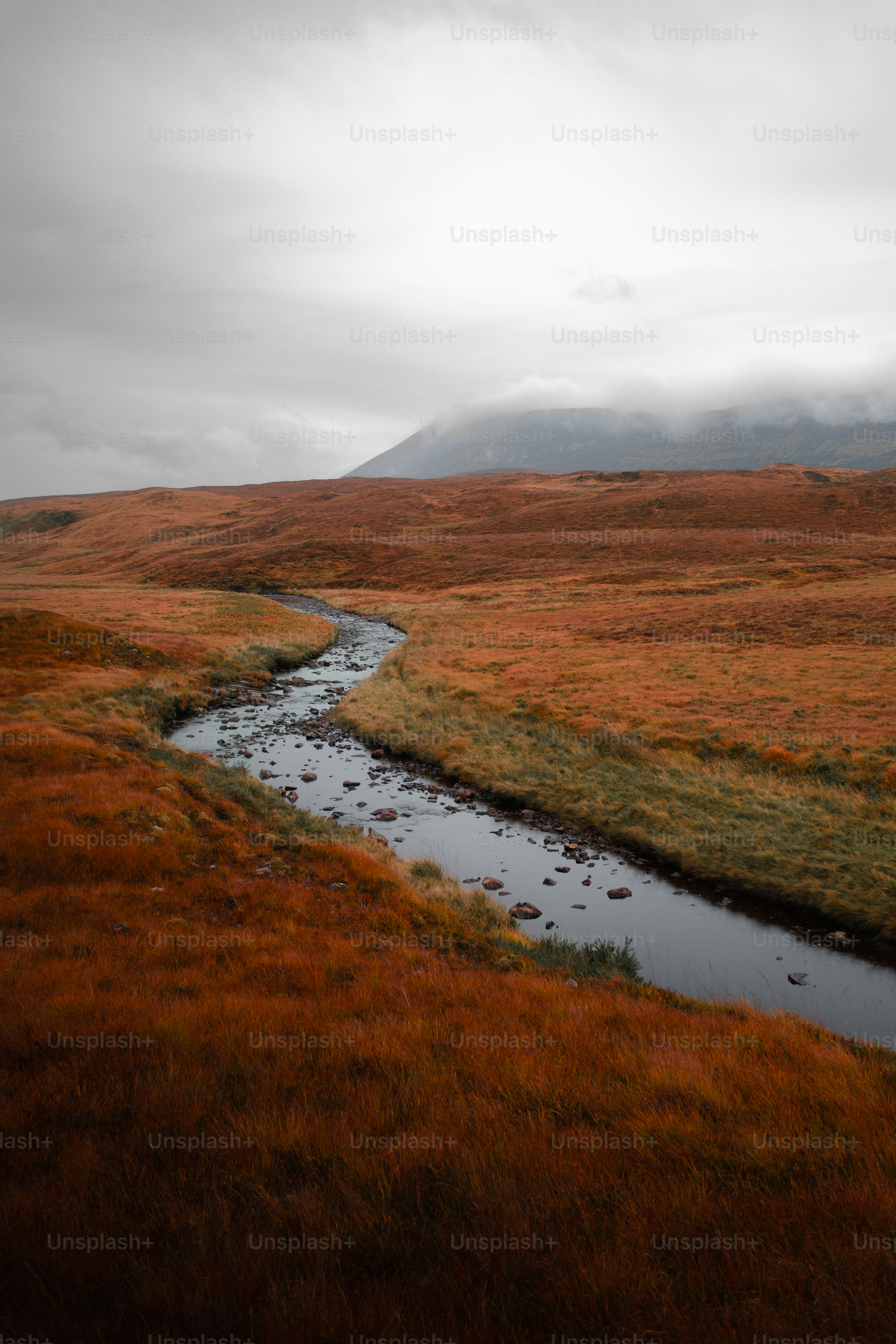 A stream running through a lush green field