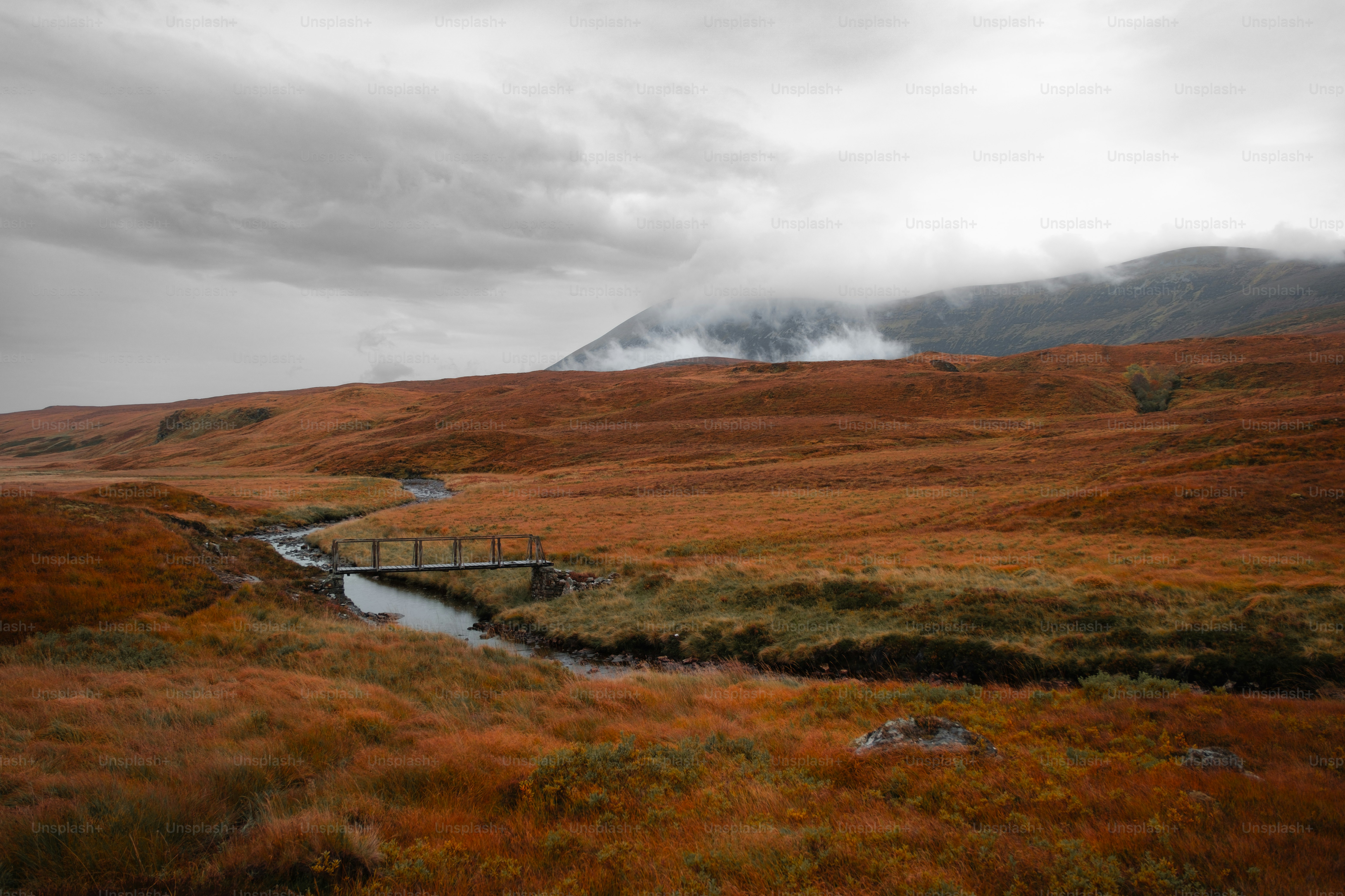 A stream running through a lush green field