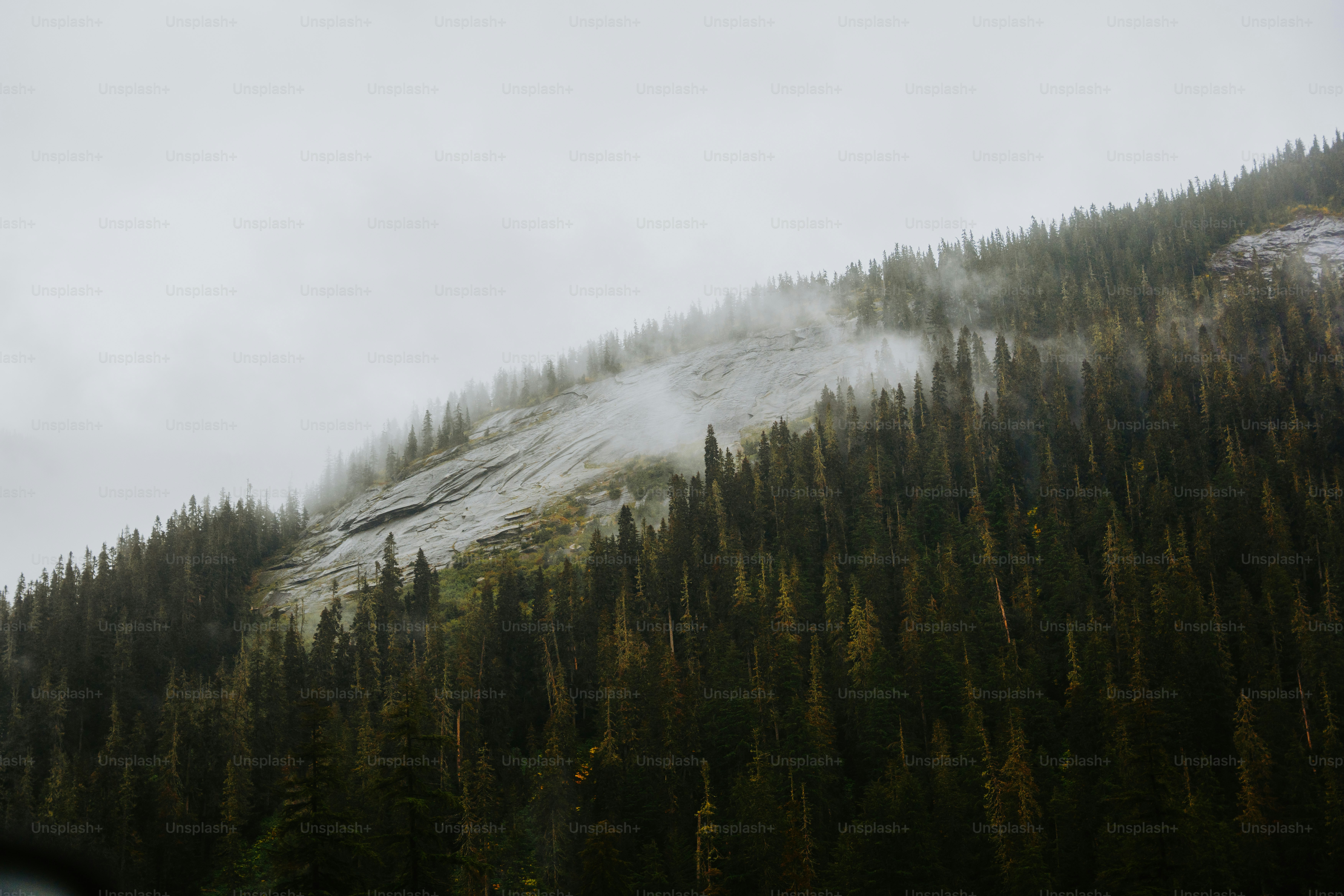 A view of a mountain with trees on the side of it