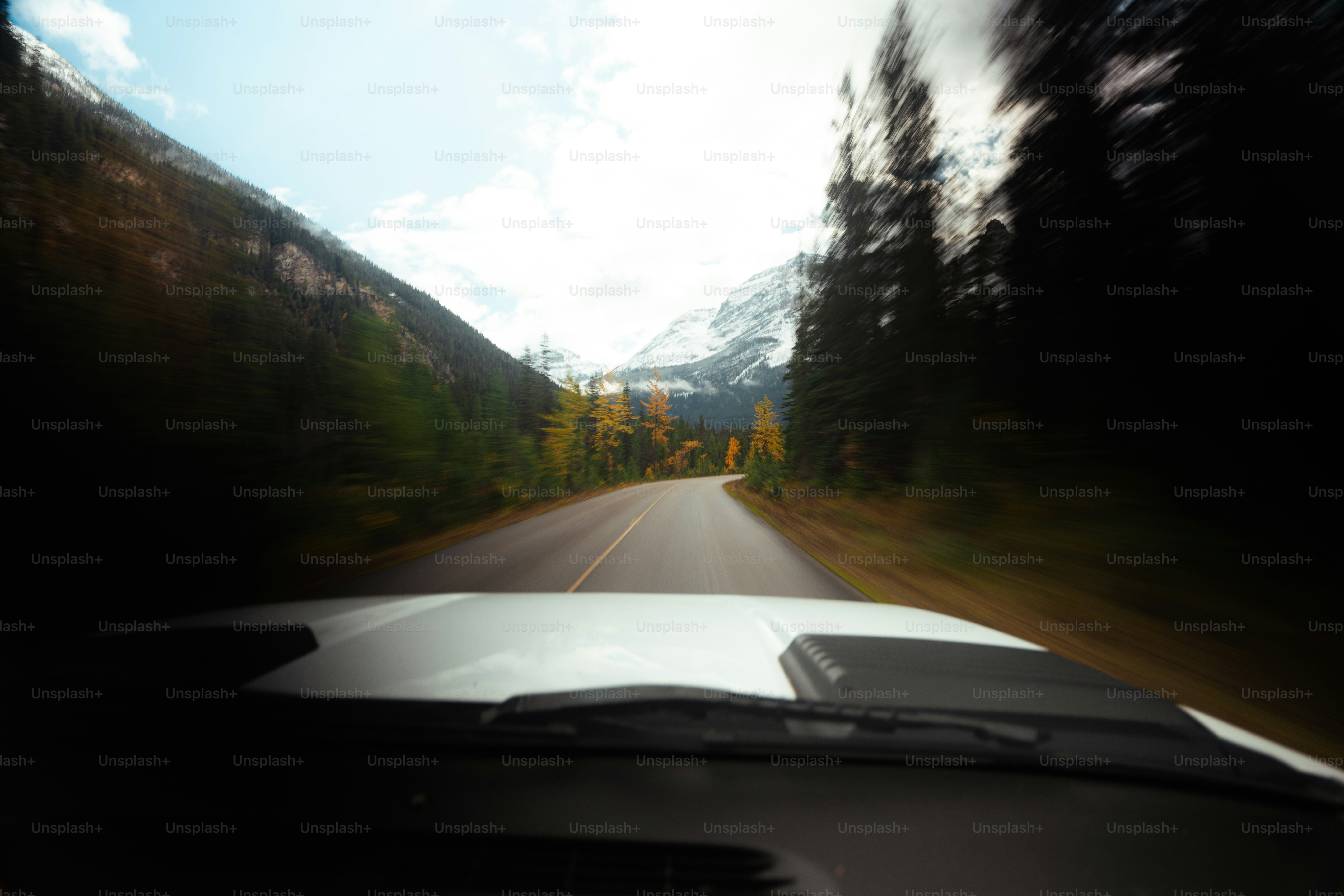 A car driving down a road next to a forest
