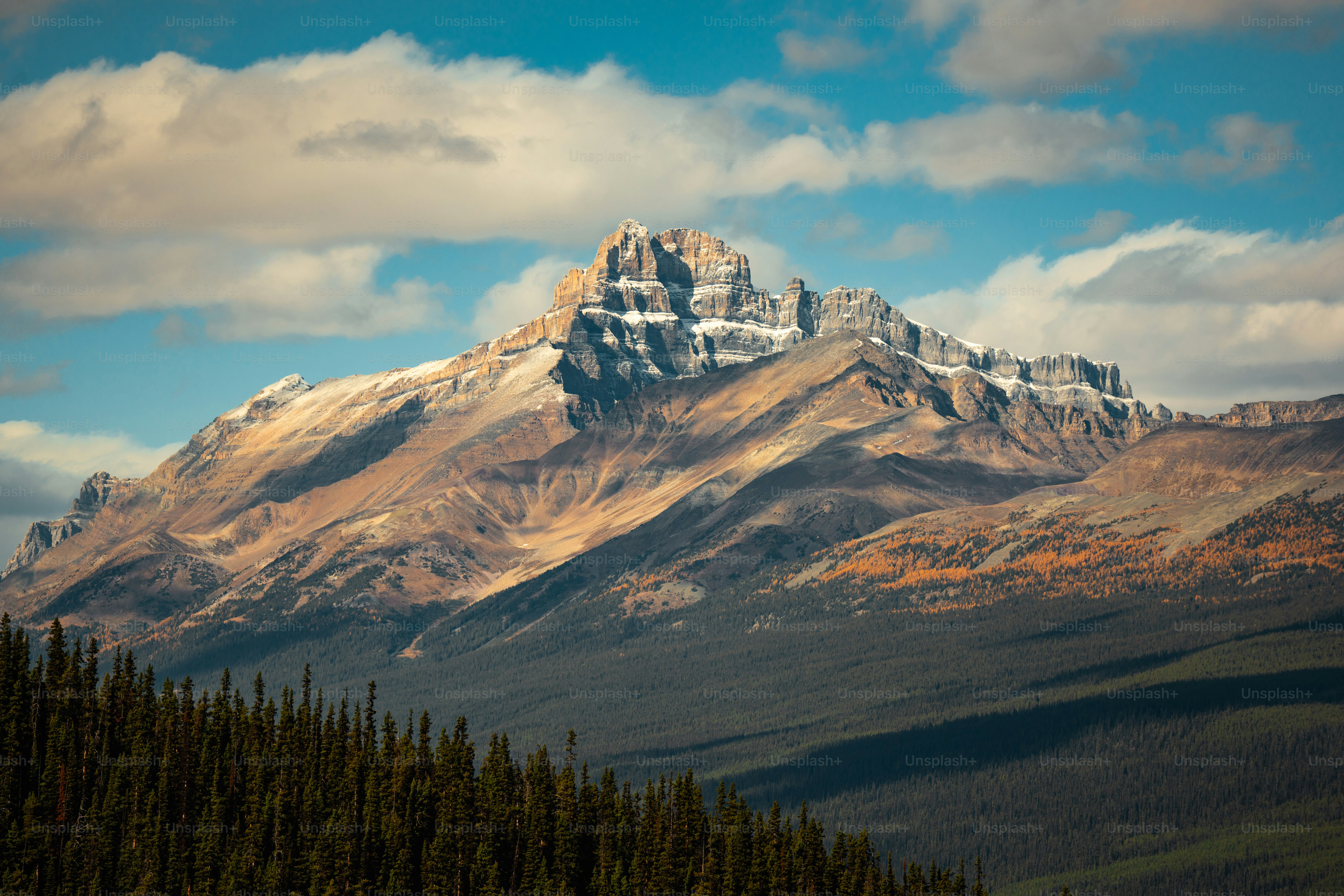 A view of a mountain range with trees in the foreground