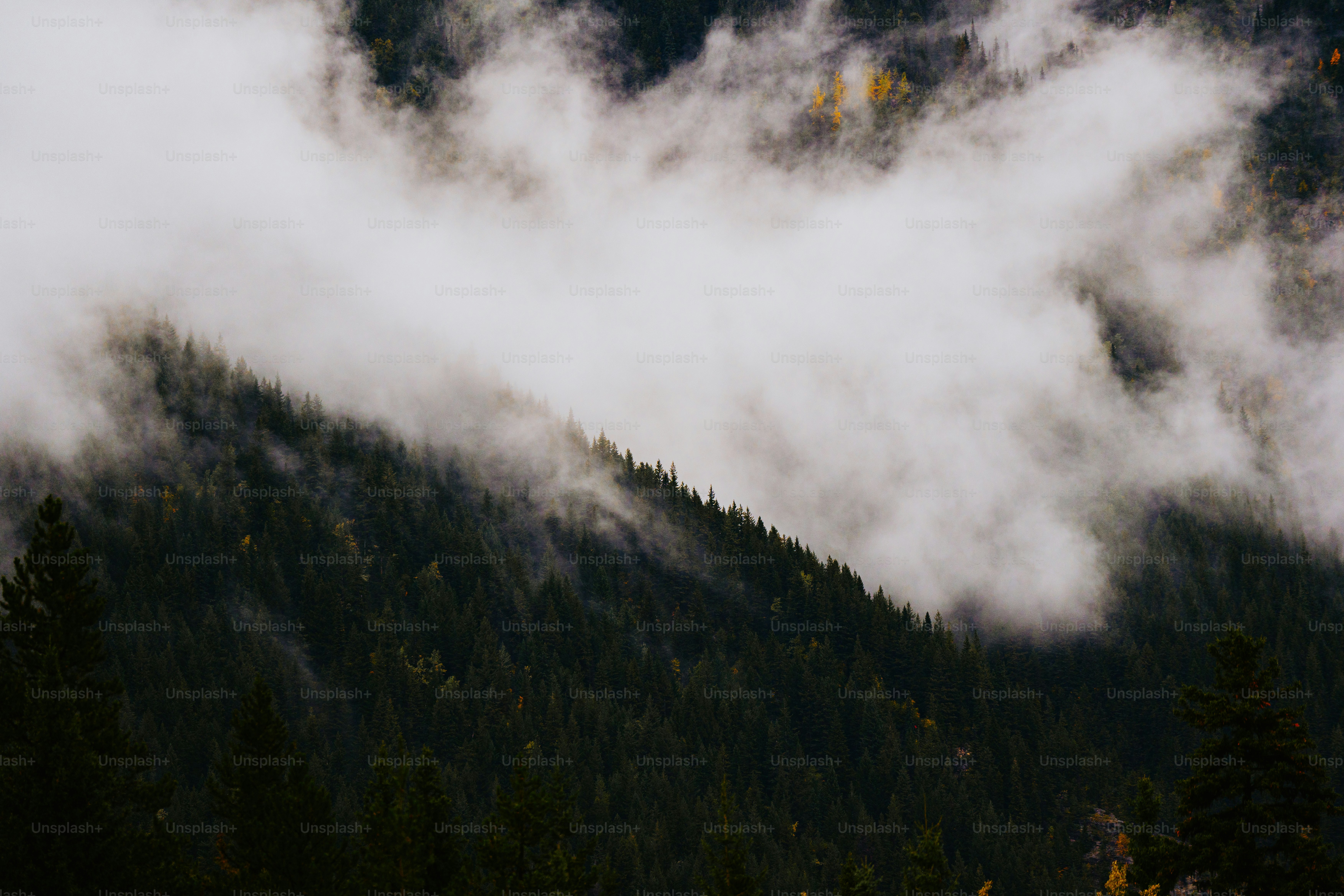 A mountain covered in clouds and trees