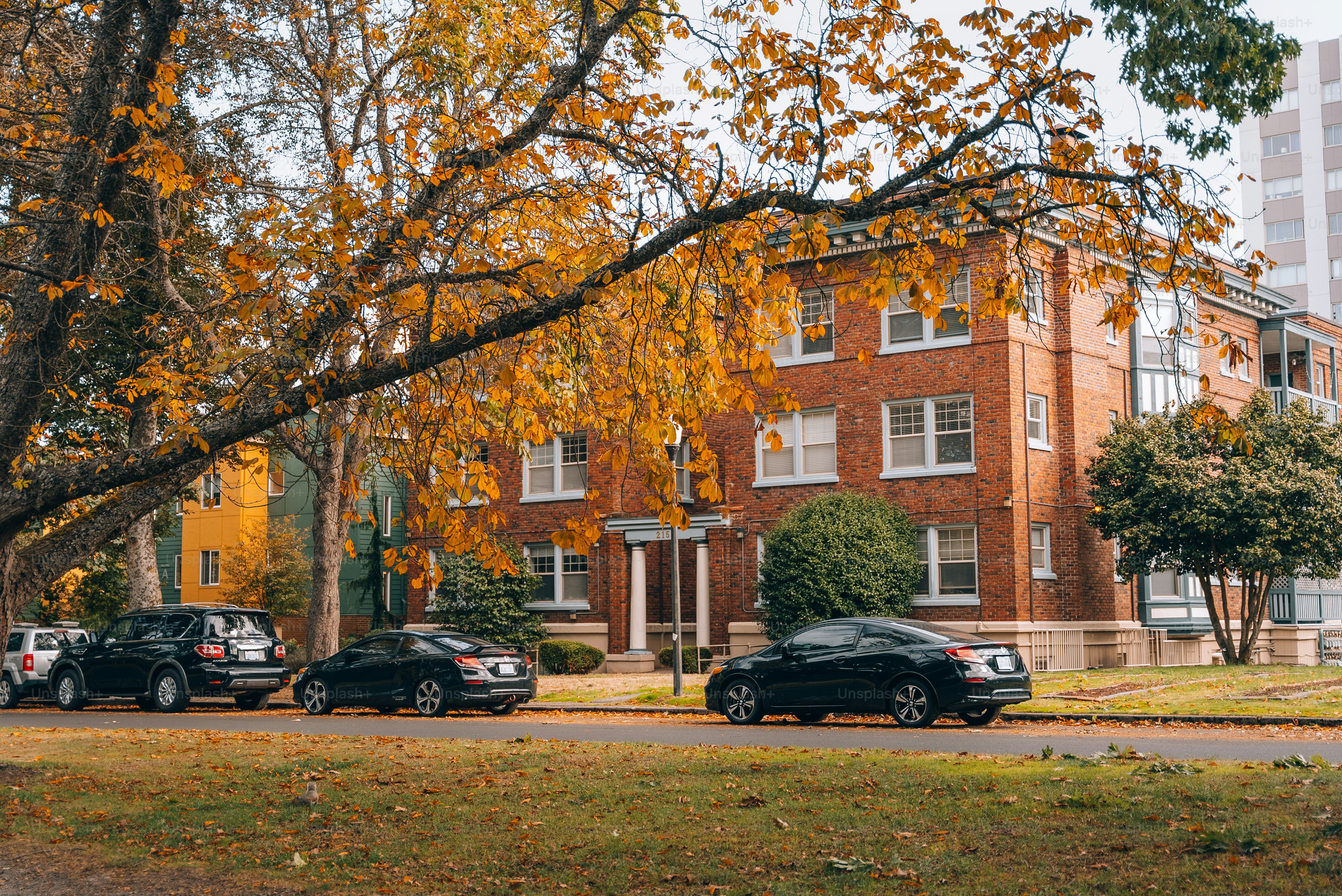 A group of cars parked on the side of a road