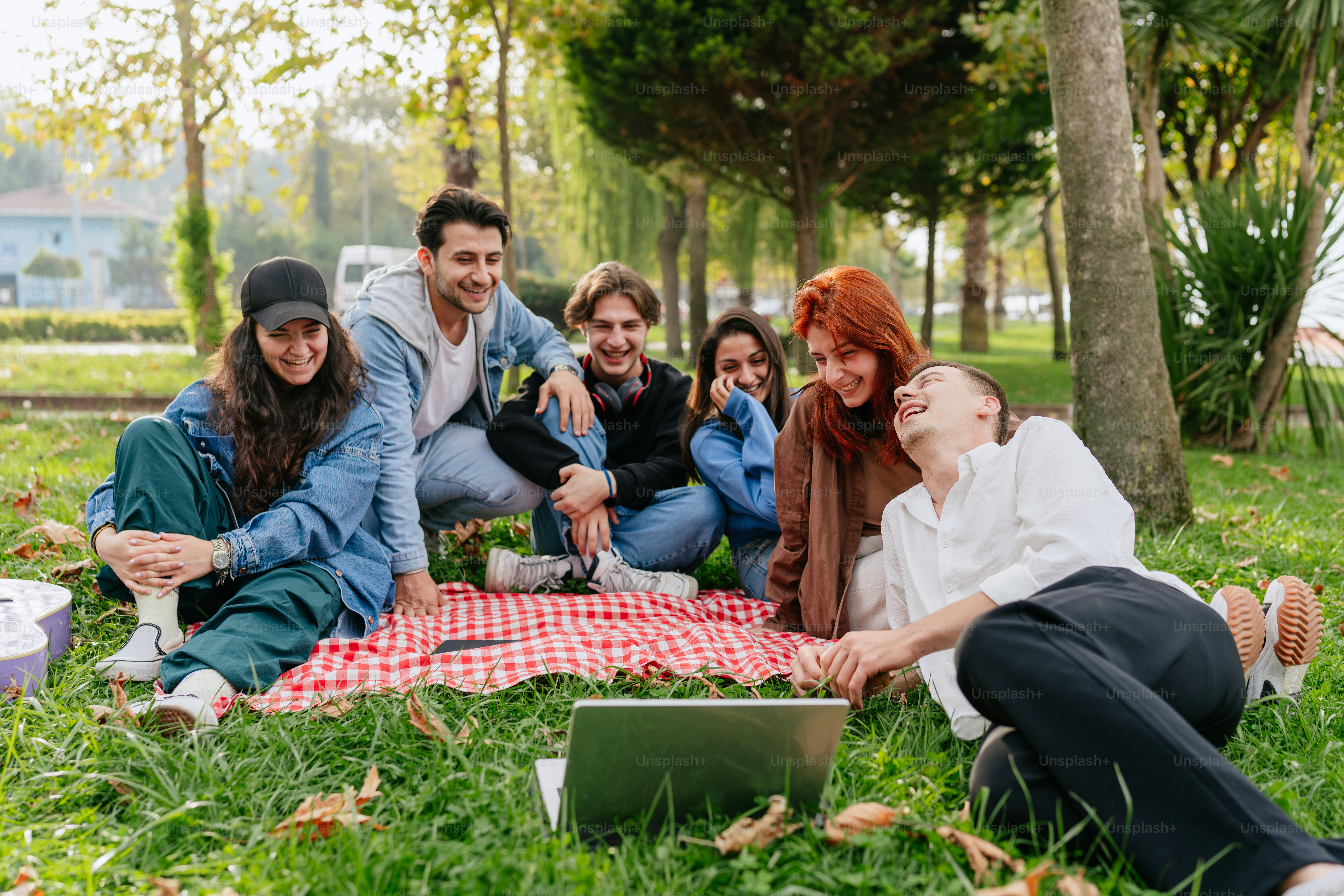 Un groupe de personnes assises sur une couverture dans un parc