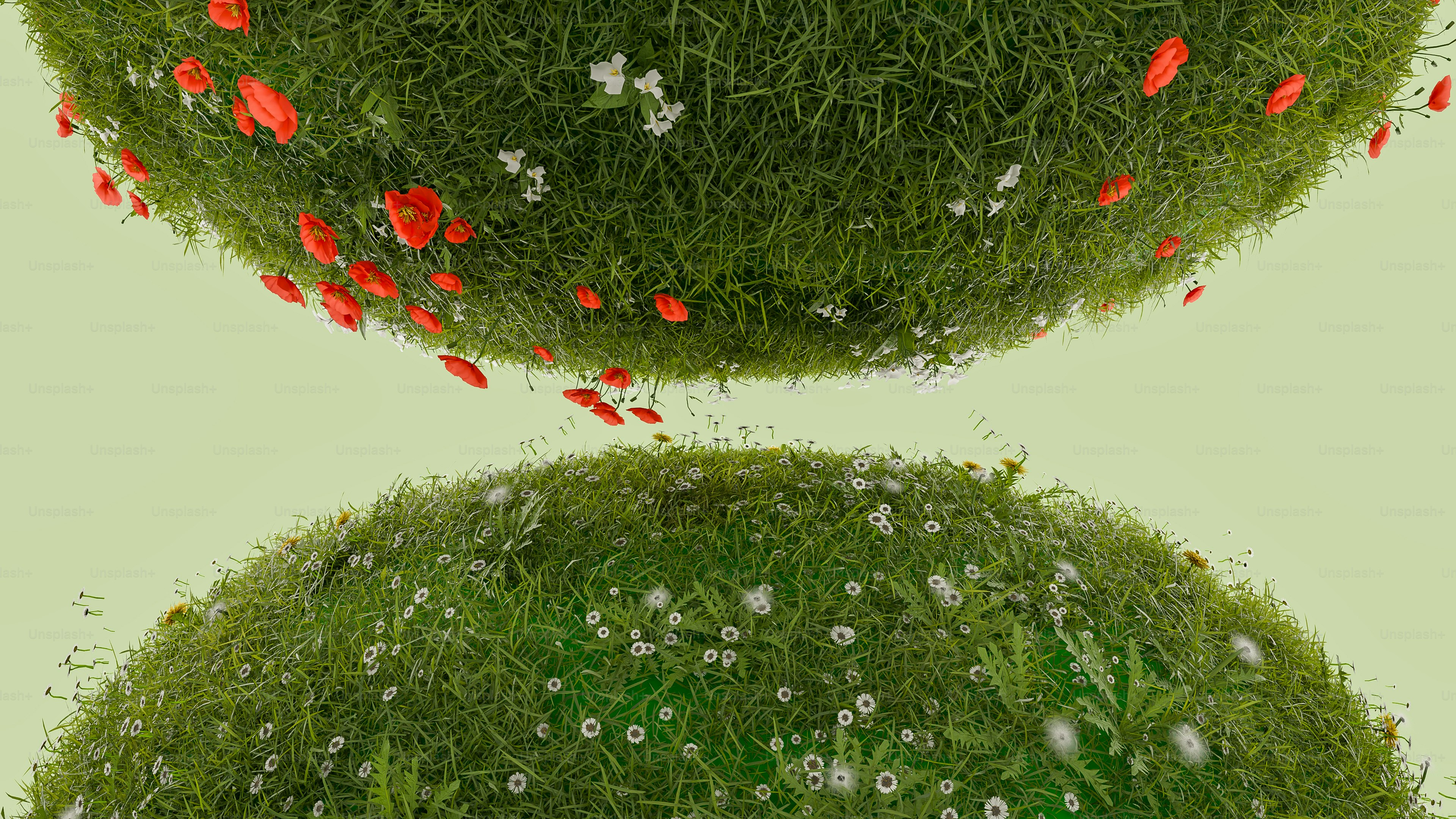 Due palle d'erba con sopra fiori rossi e bianchi