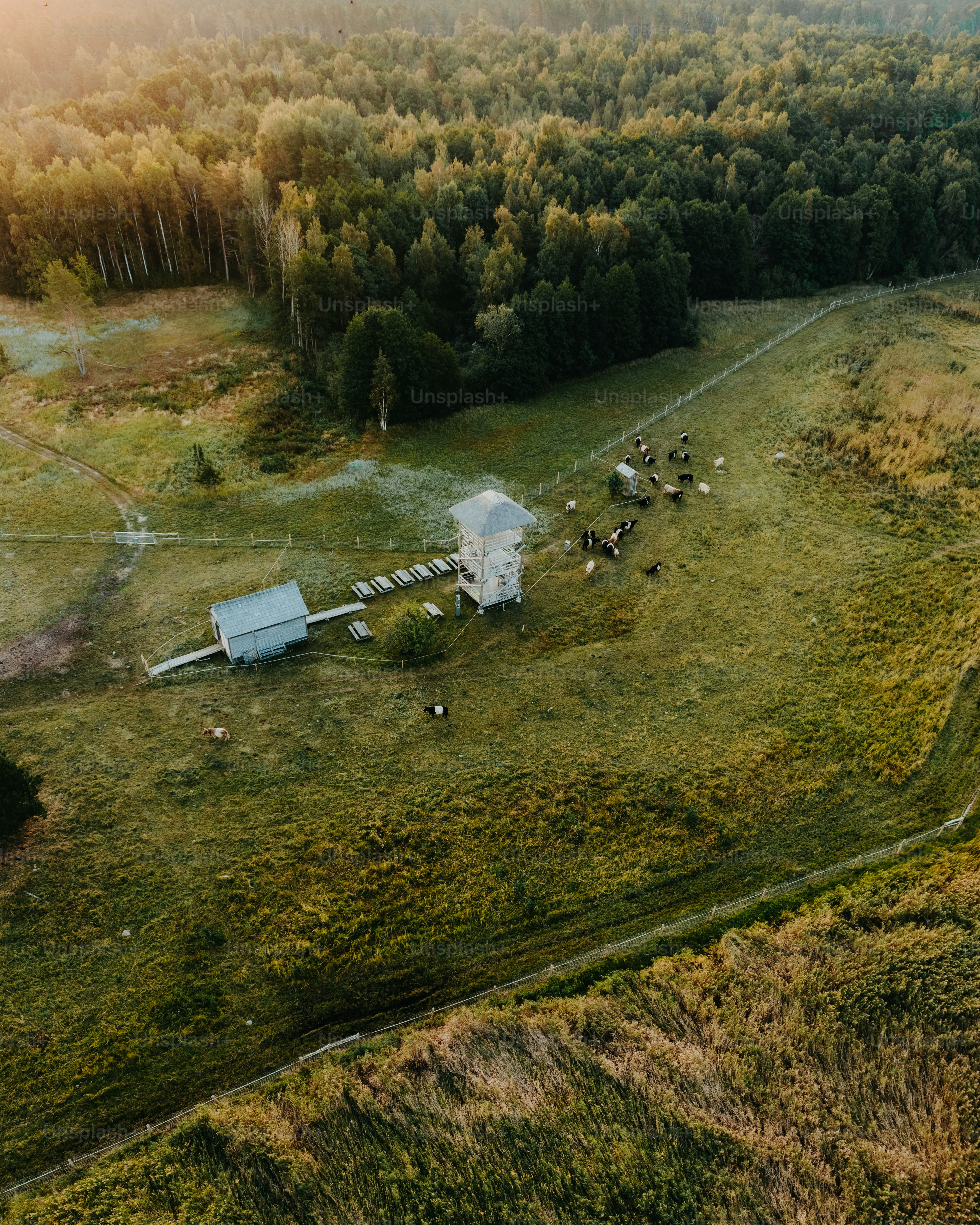 An aerial view of a farm and a forest