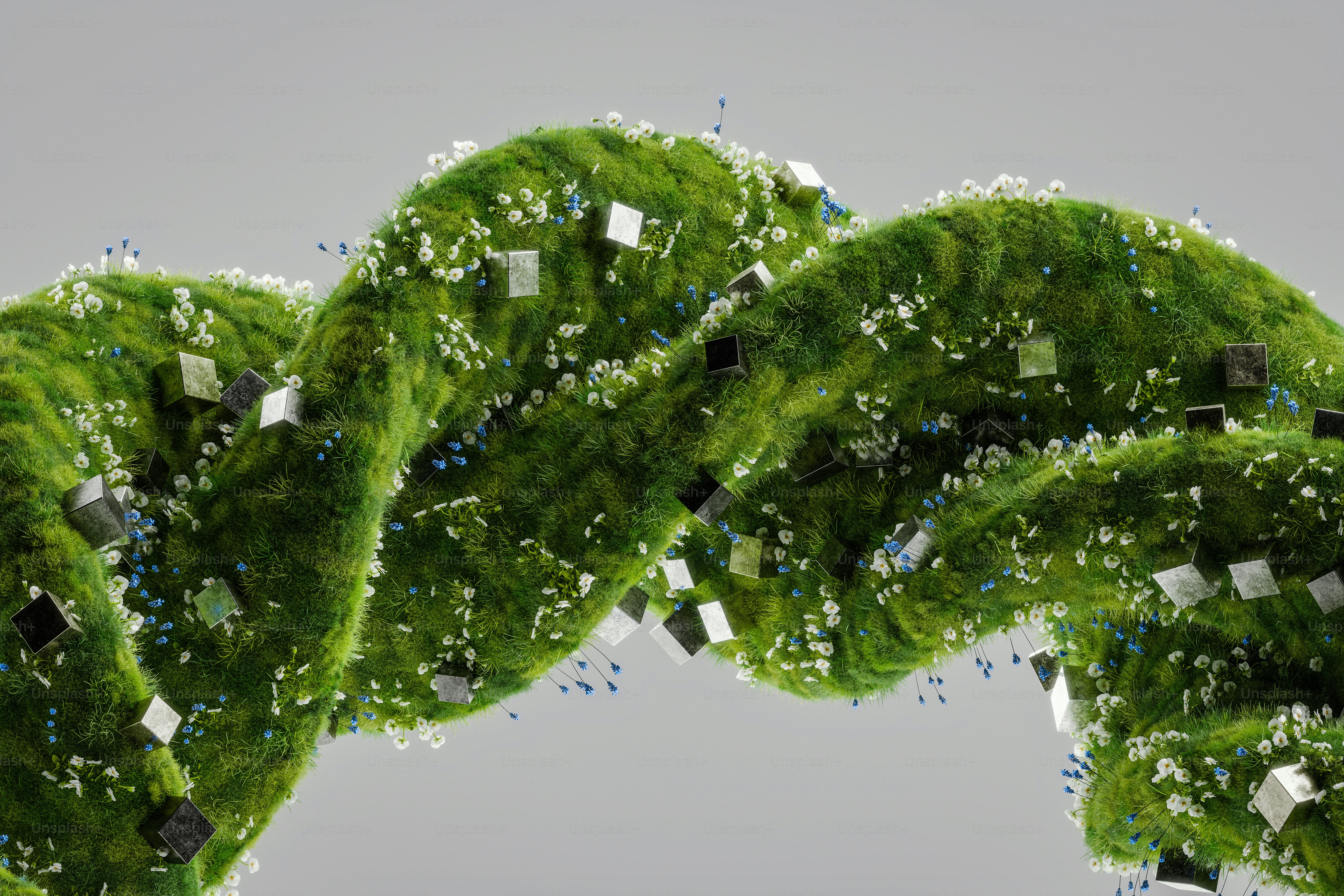 A group of green plants with white and black squares on them