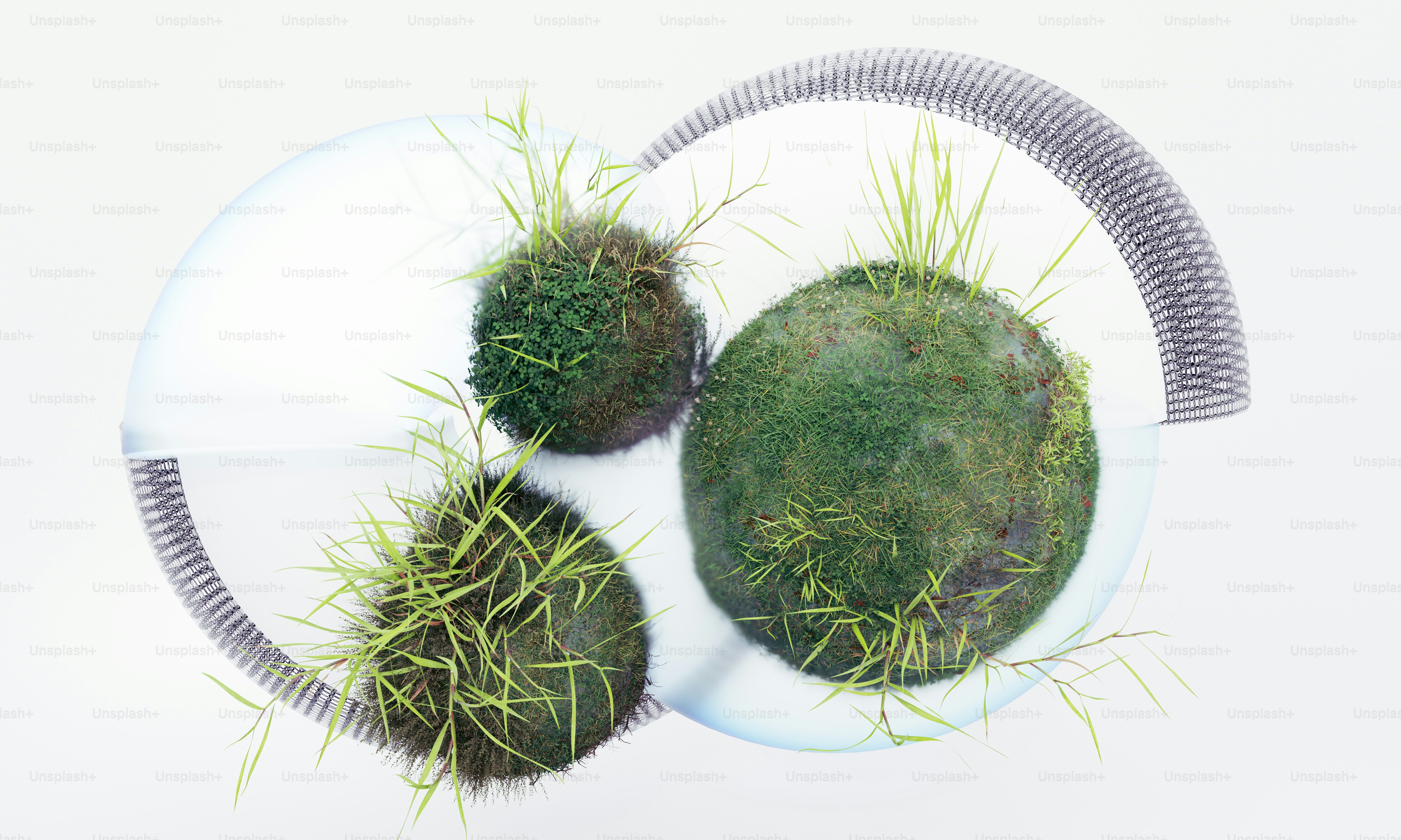 A group of plants that are sitting on a plate