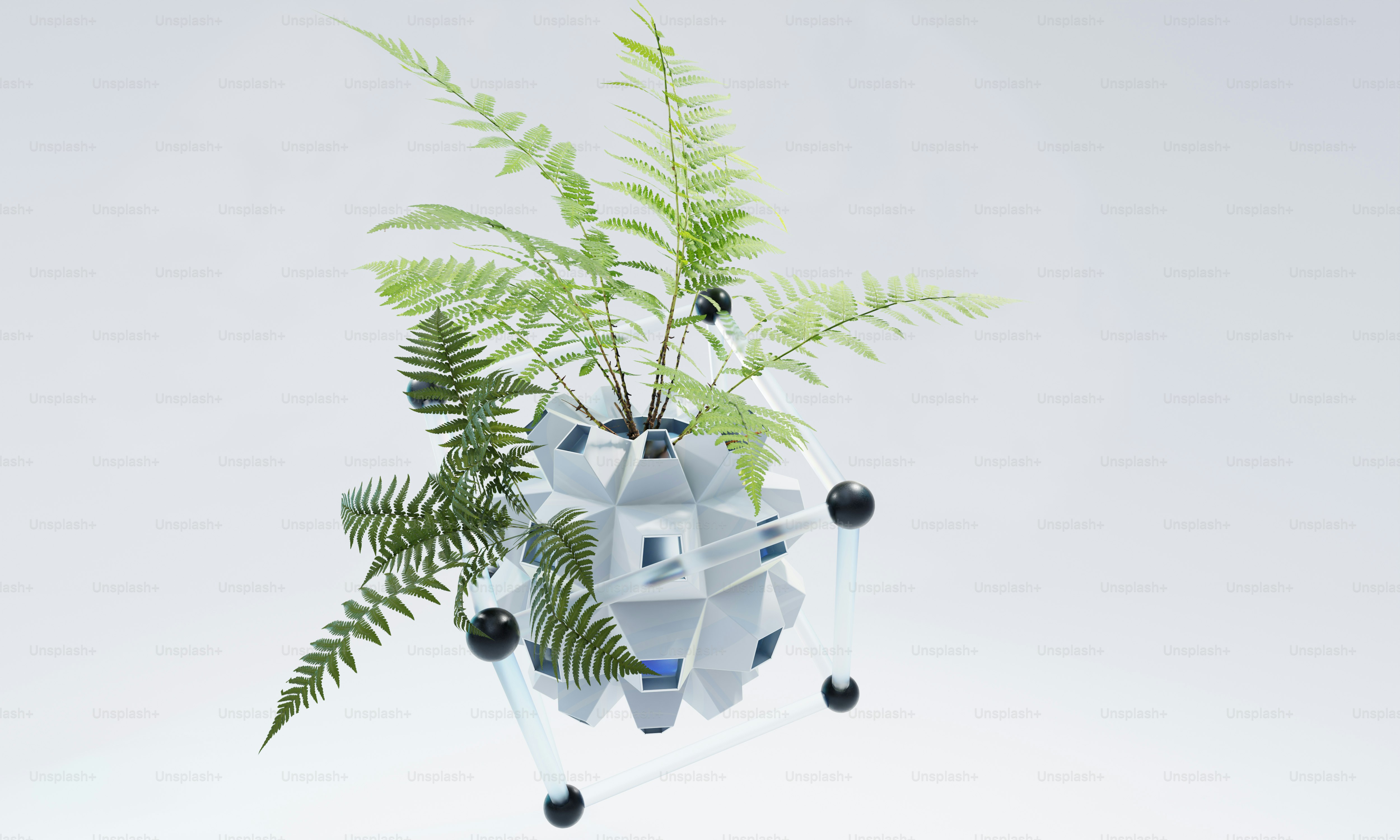 A plant is growing out of a white vase