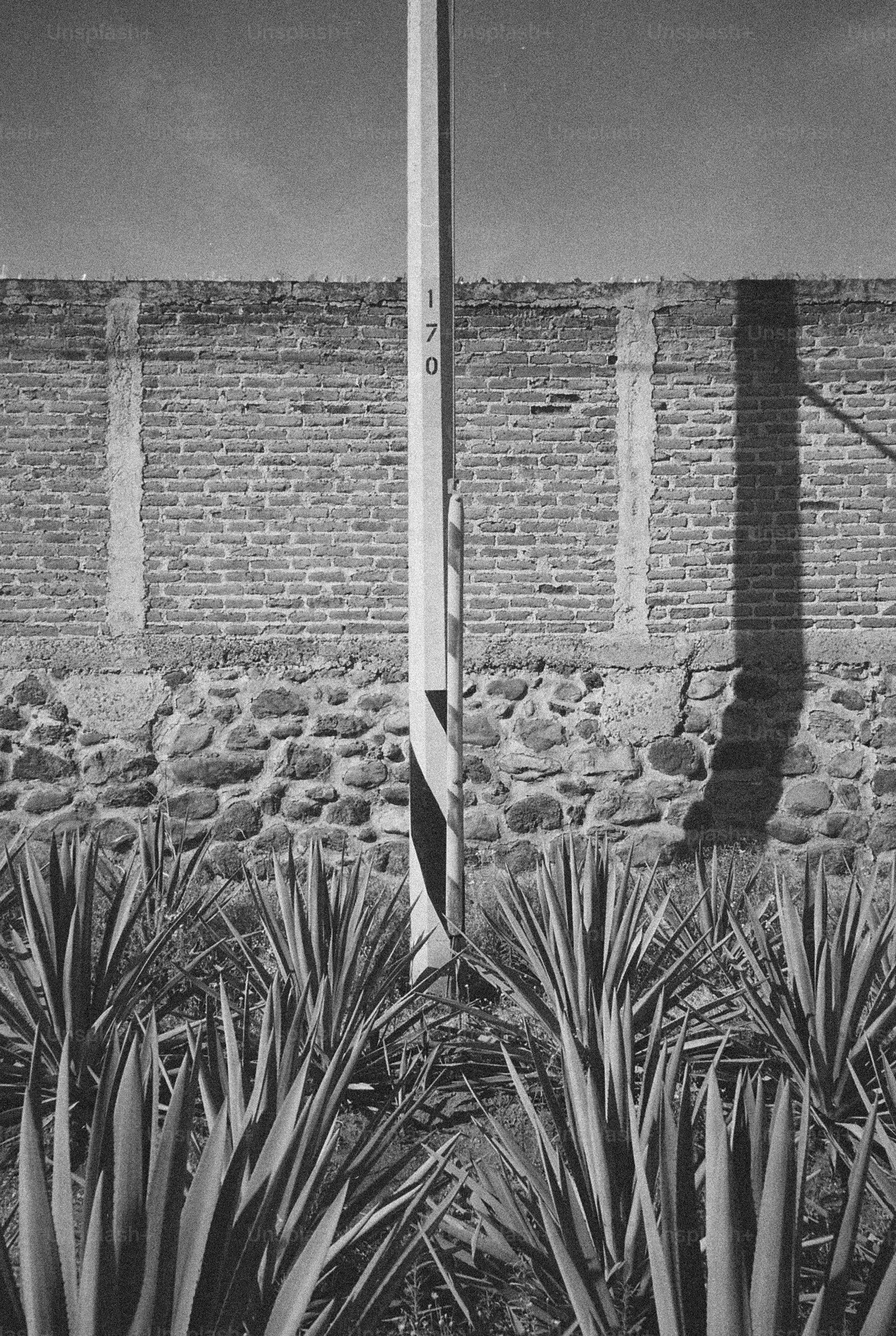 A black and white photo of a street sign