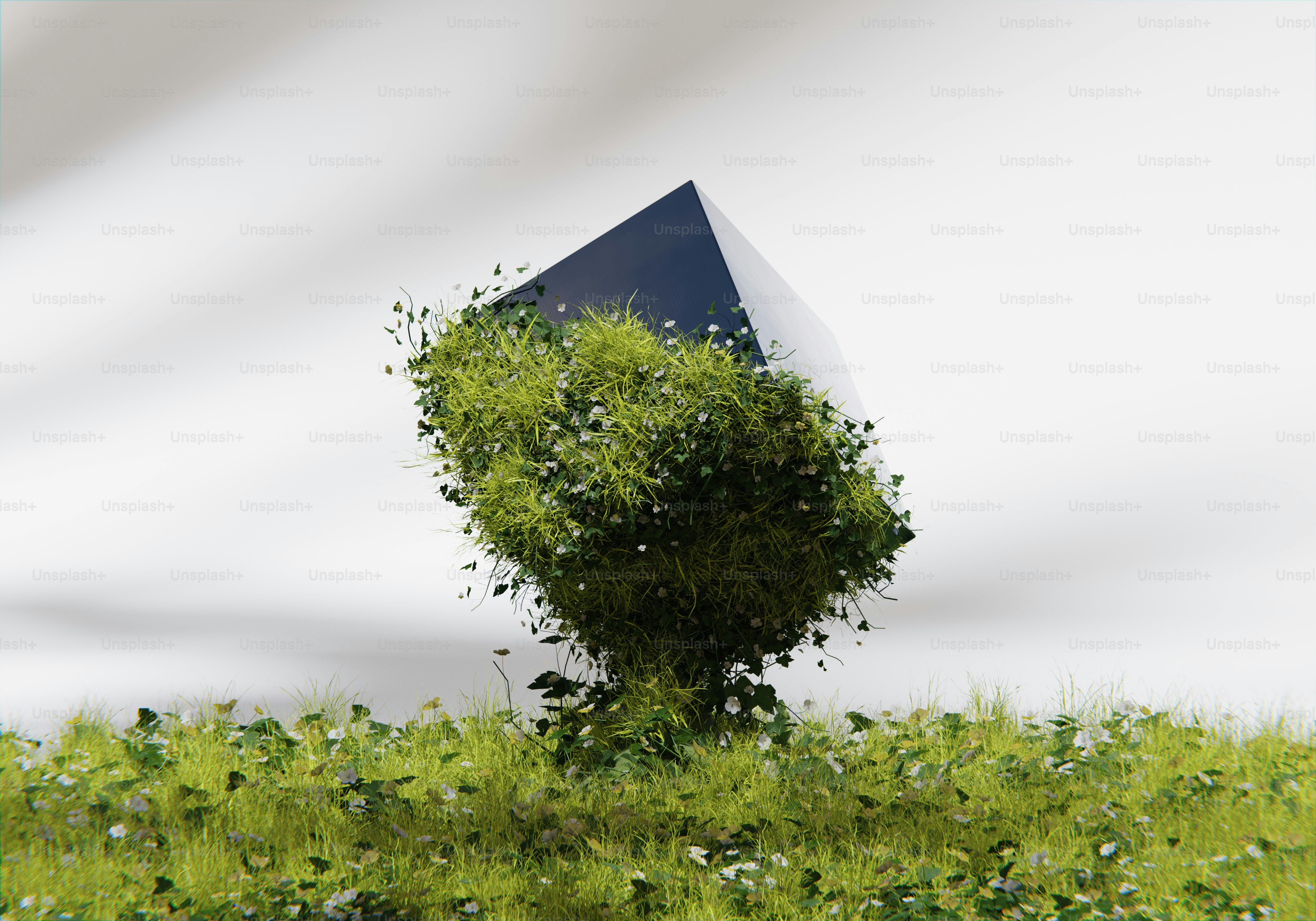 Un piccolo albero in mezzo a un campo