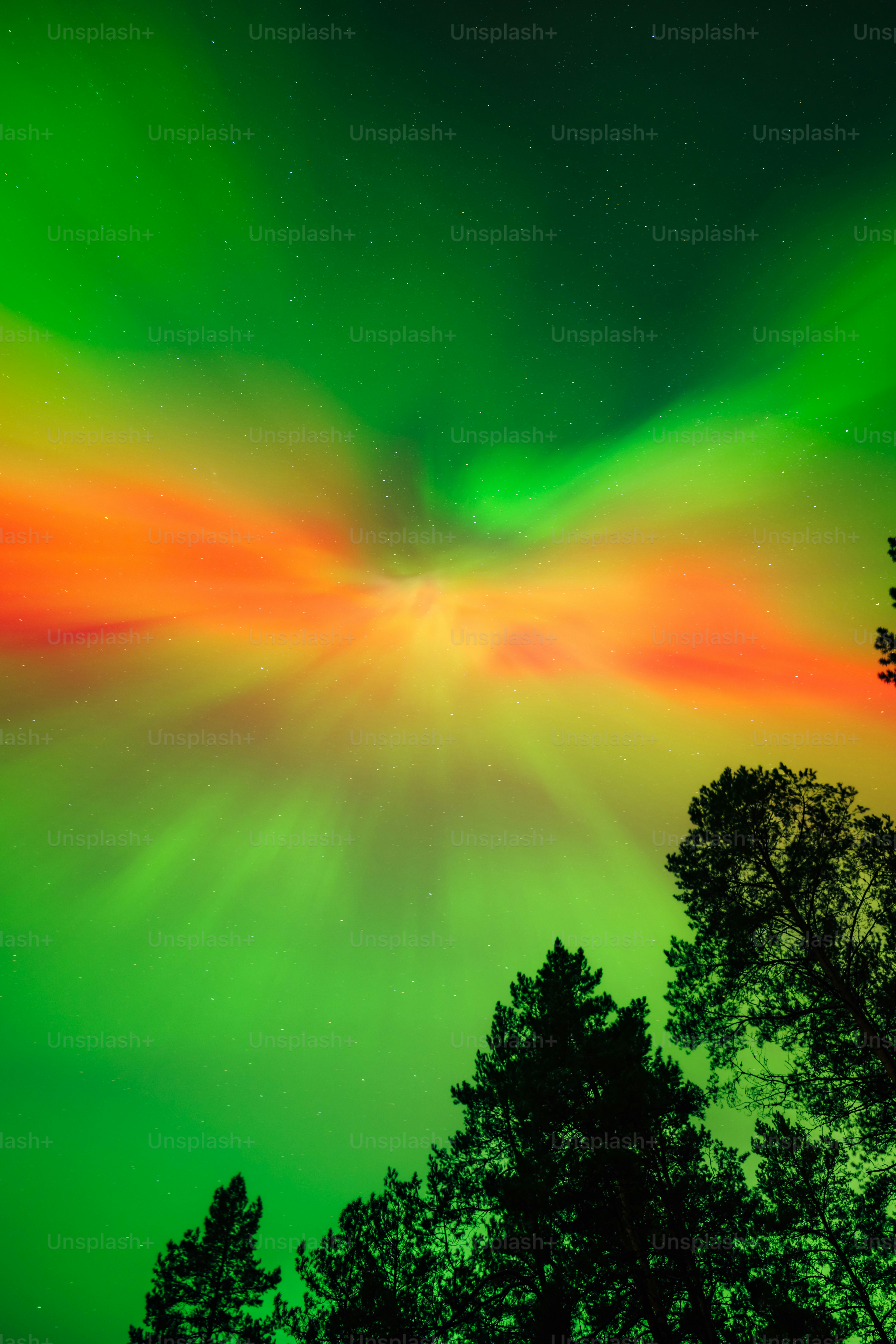 夜空に浮かぶ緑と赤のオーロラ