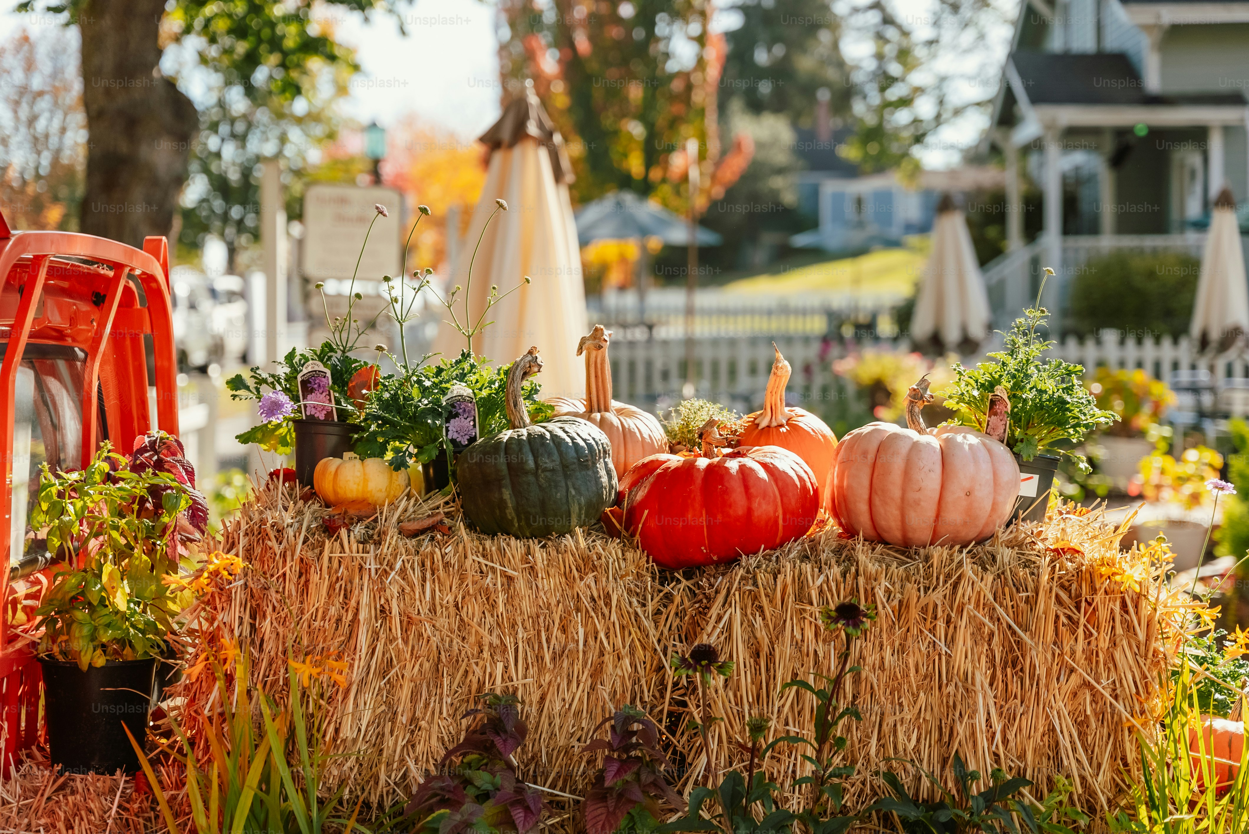 A hay bale with pumpkins and gourds on it