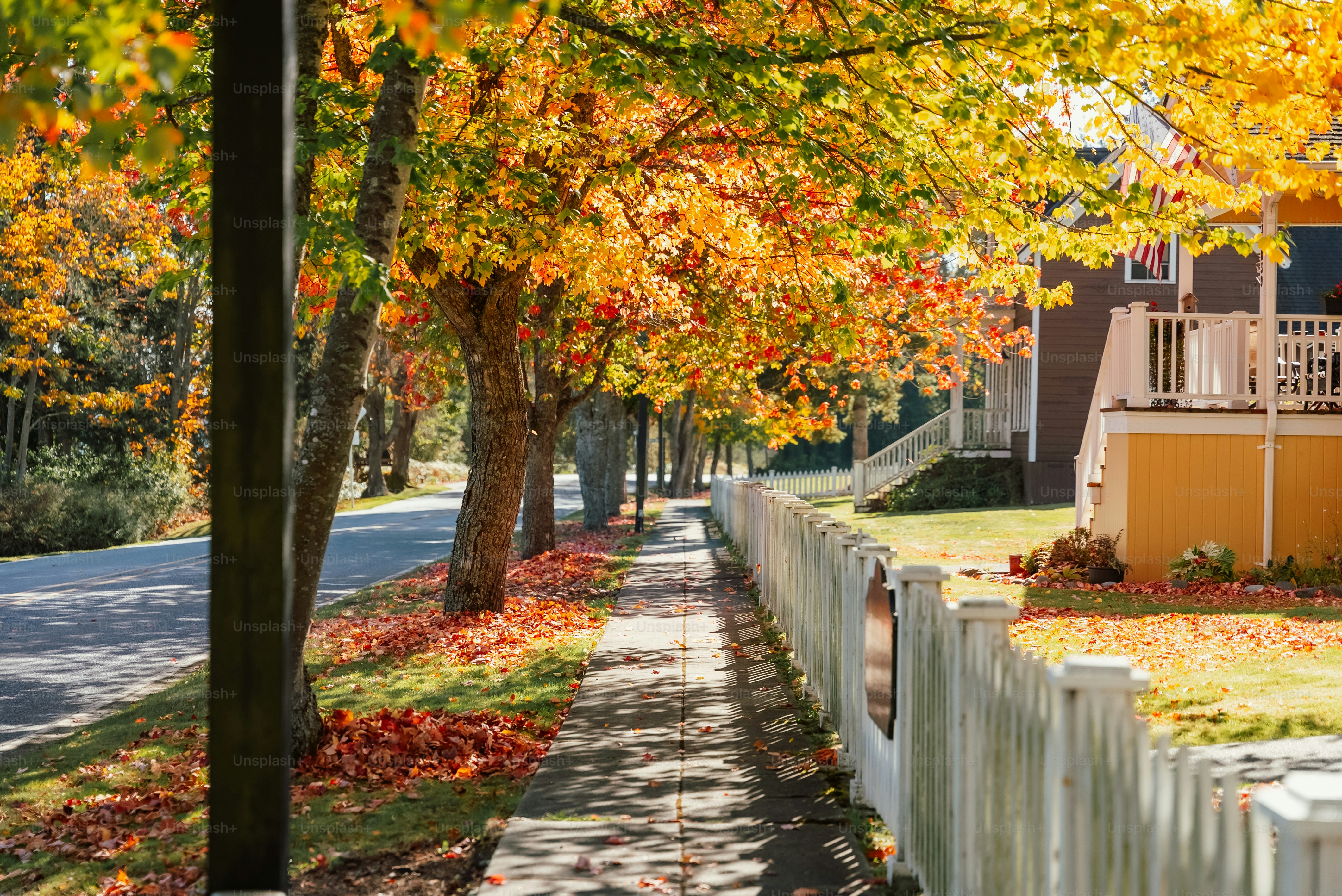 What Homeowners in Ashburn & Sterling Should Know Before the New Year