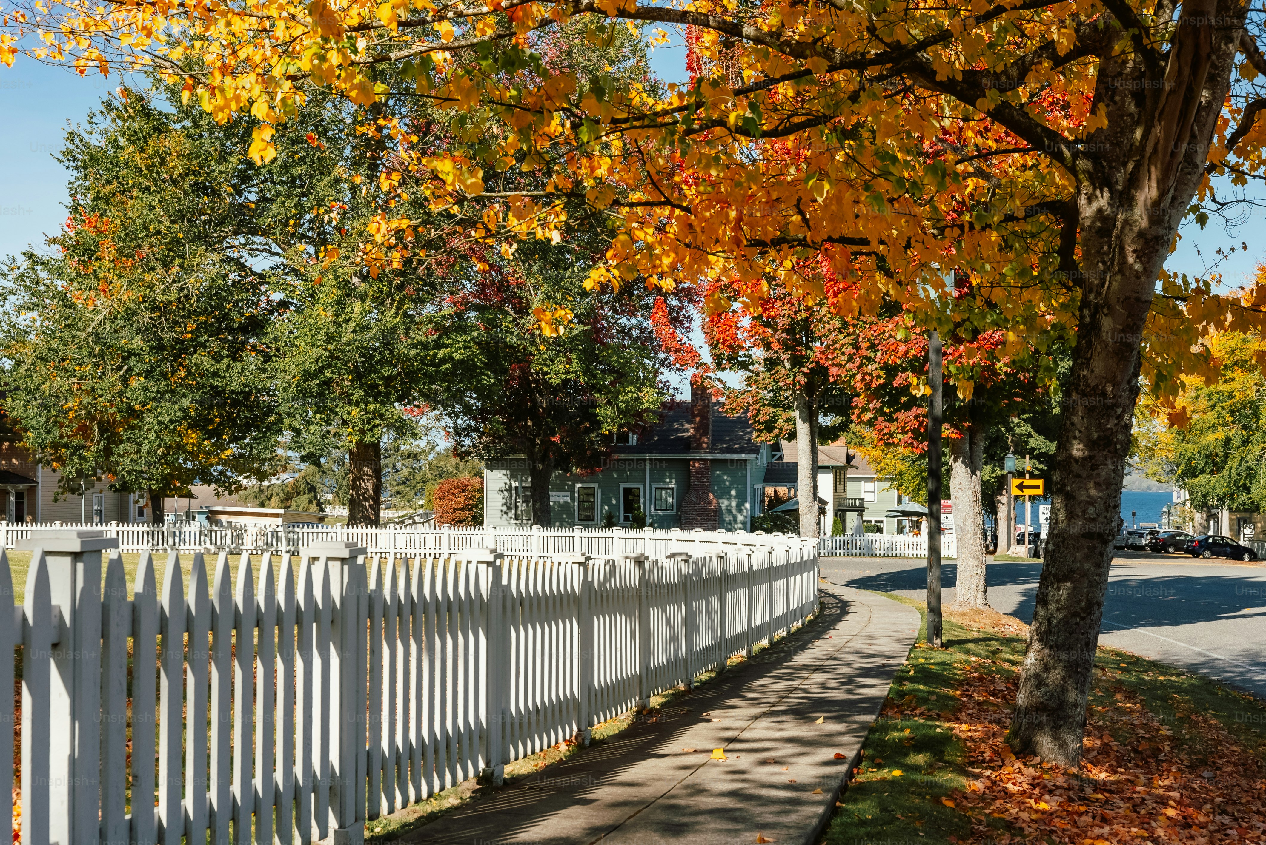 A white picket fence next to a tree