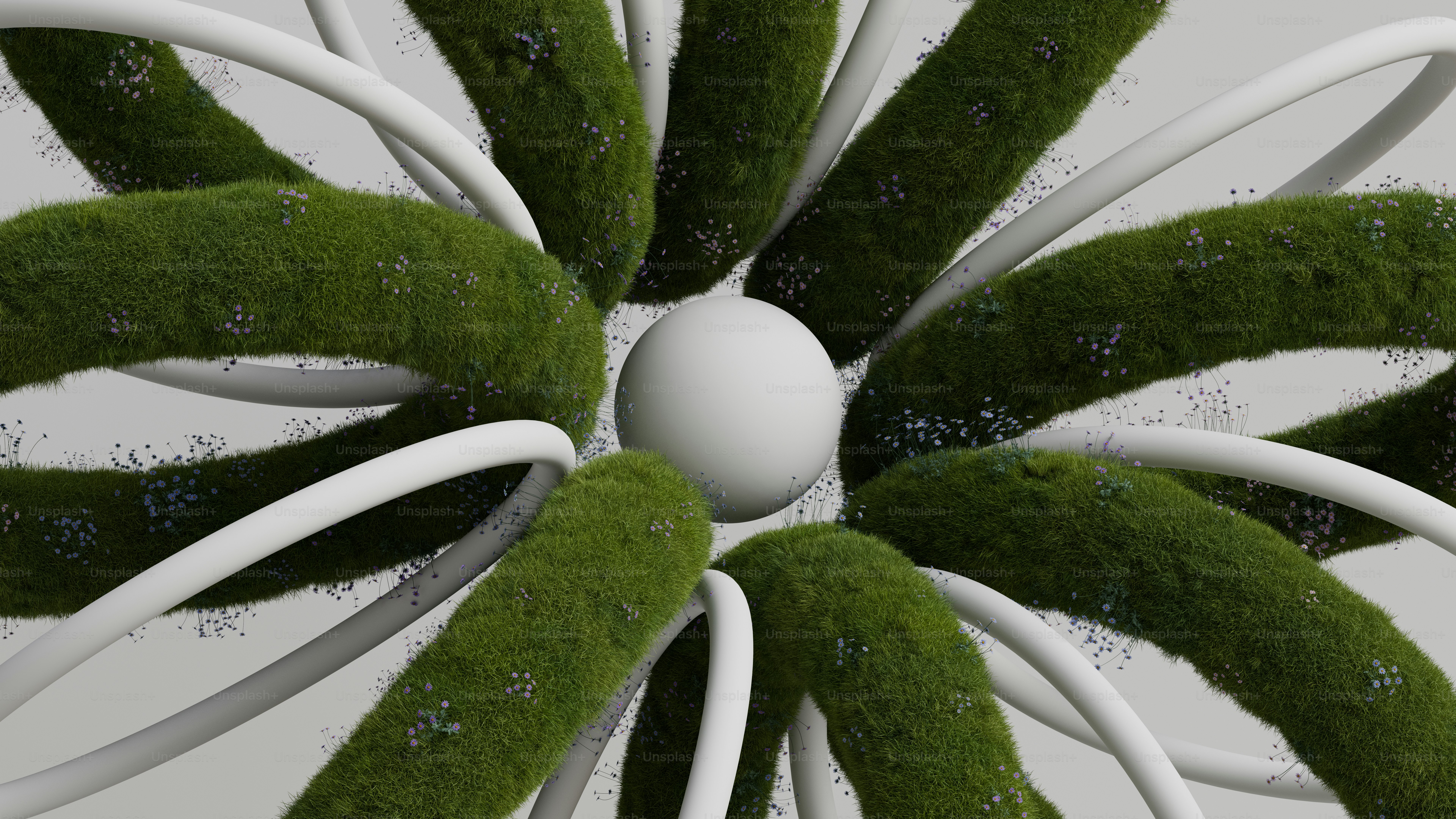 A green and white flower with a white ball in the center