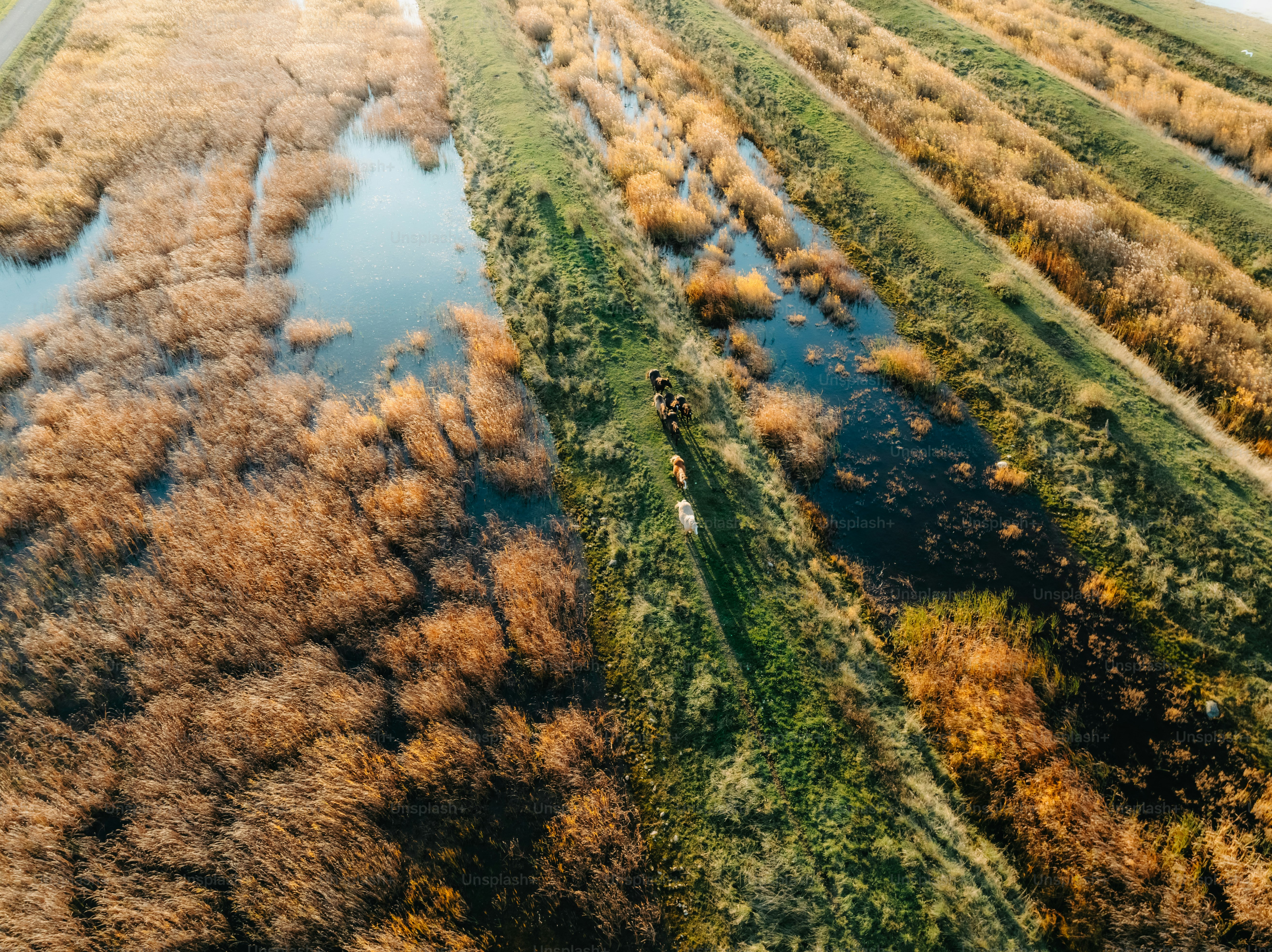 An aerial view of a river running through a field