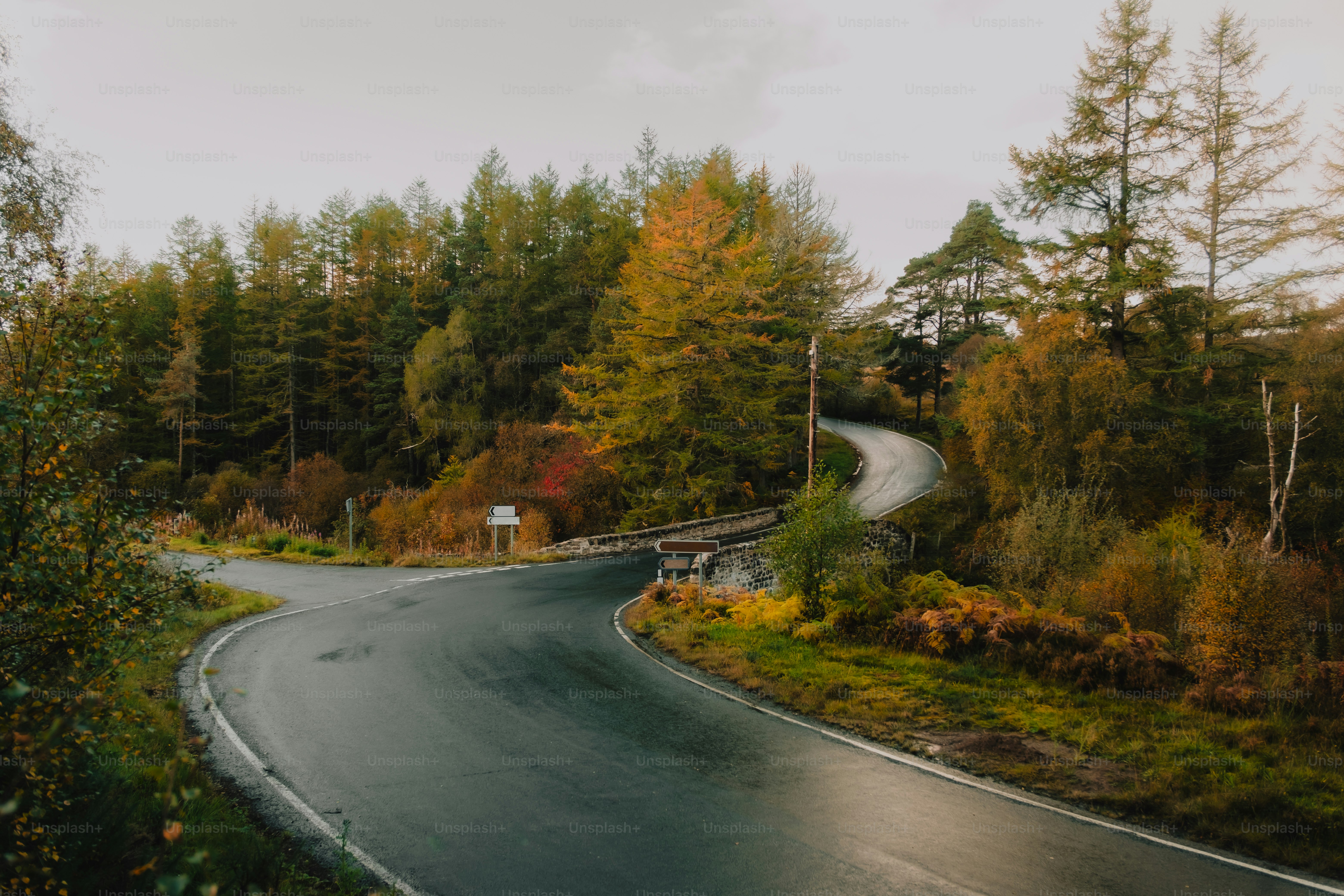 Nurburgring Pictures | Download Free Images on Unsplash, image size:3000x2000