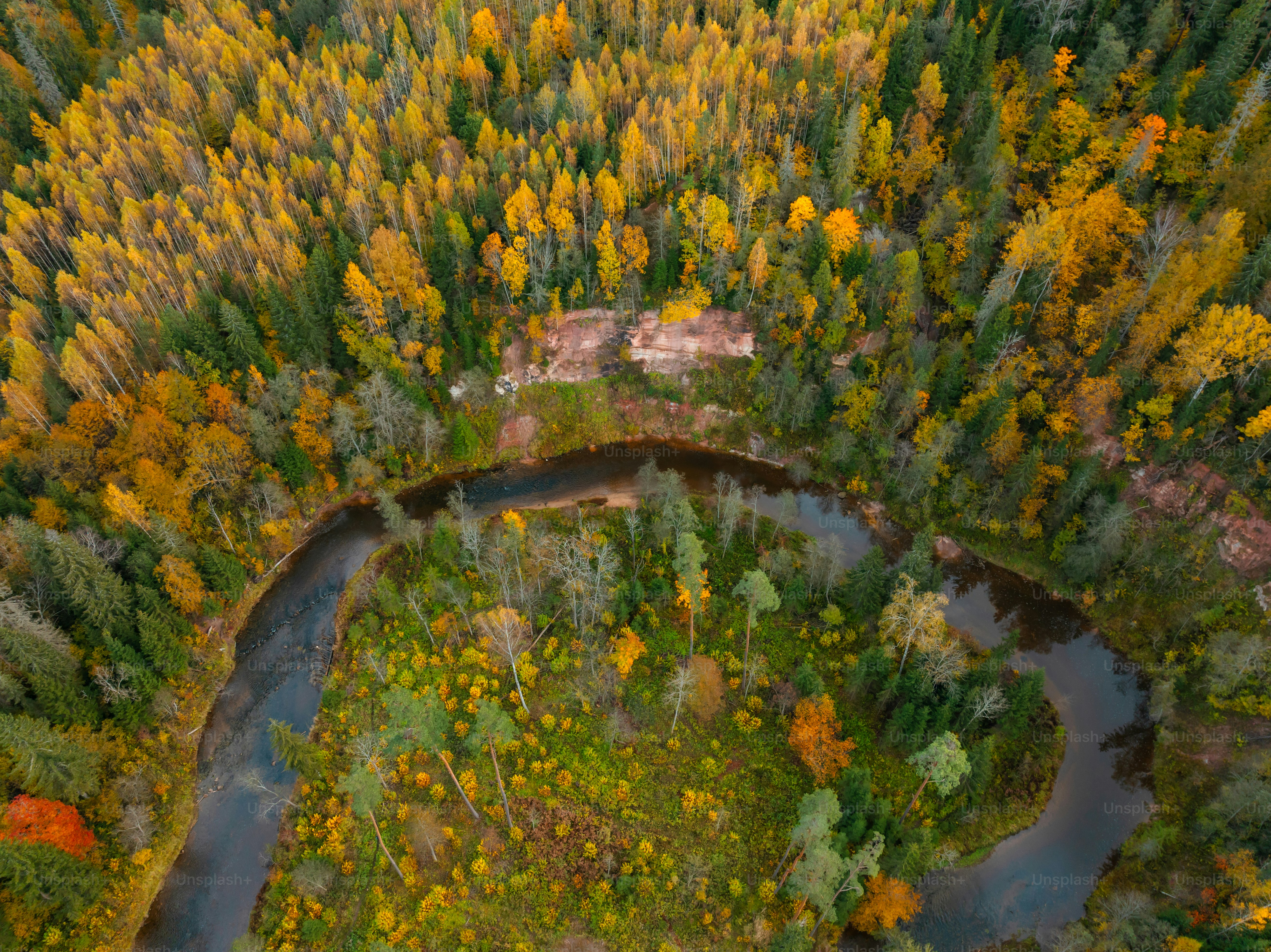 An aerial view of a river running through a forest photo – Autumn ...