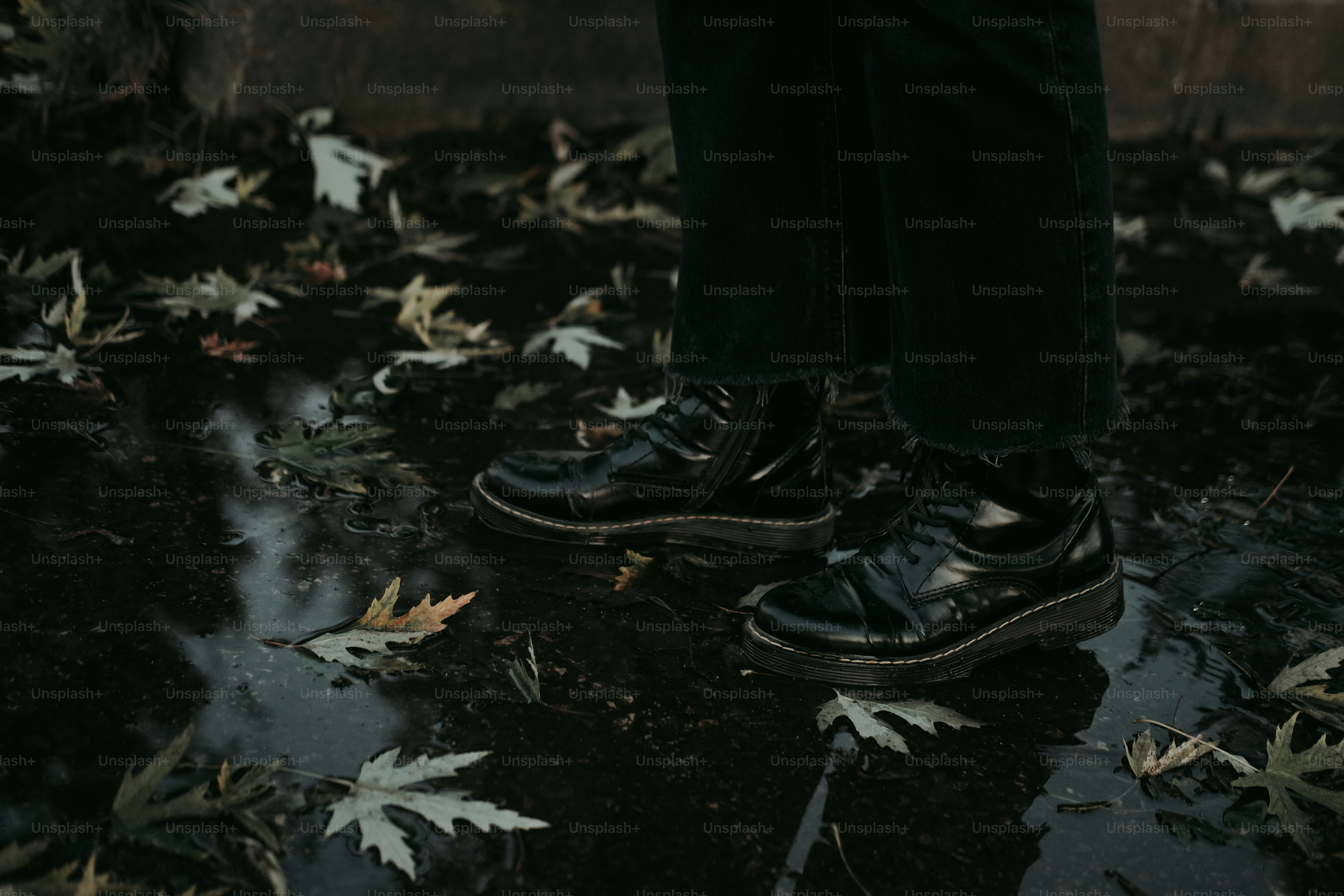 premium_photo-1728989982729-342973fc691e