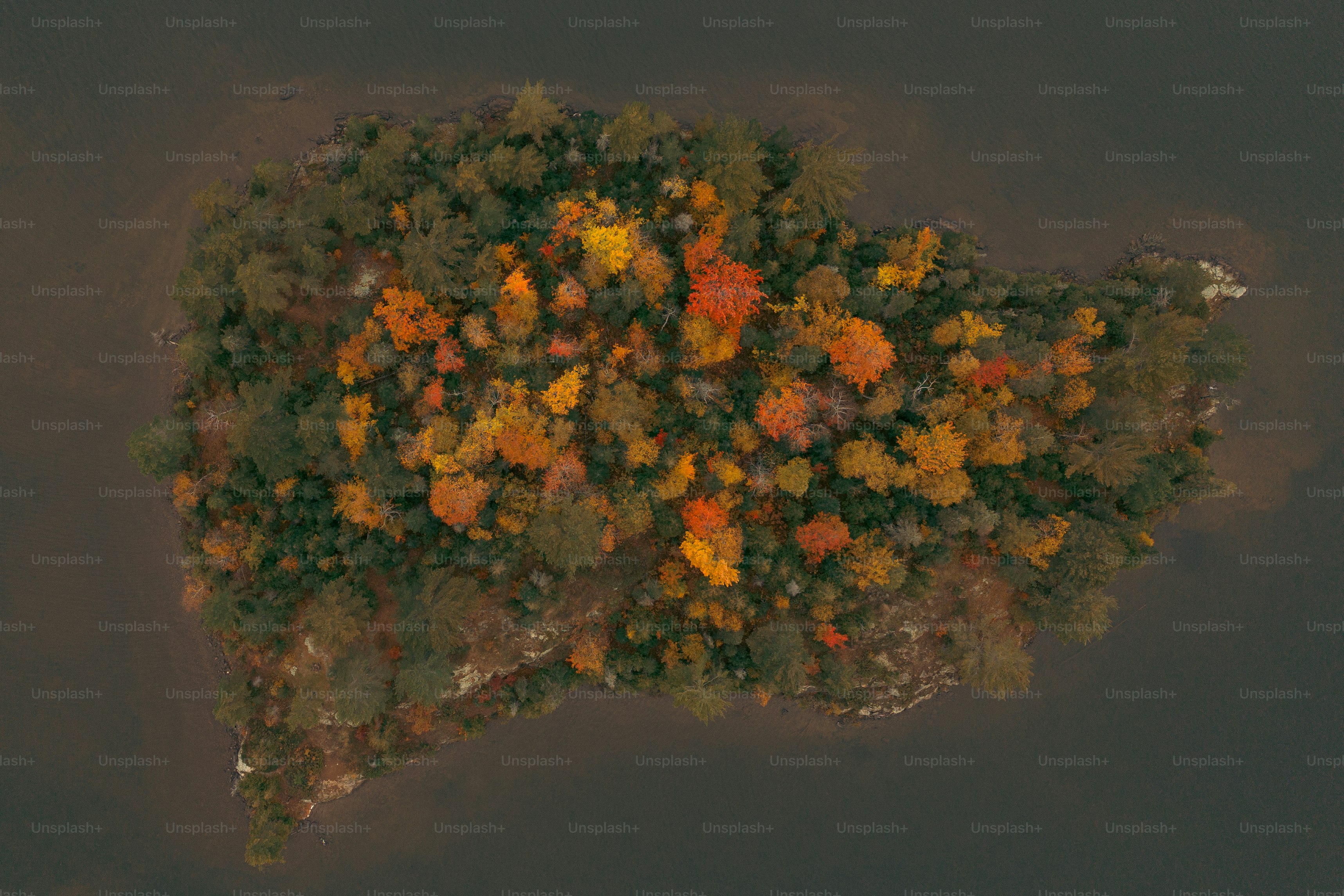 Rutgers Football Opponent Preview: Maryland Terrapins