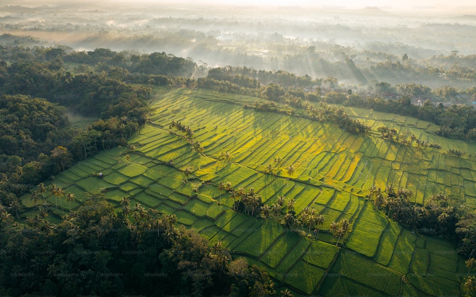 Sustainable Agriculture