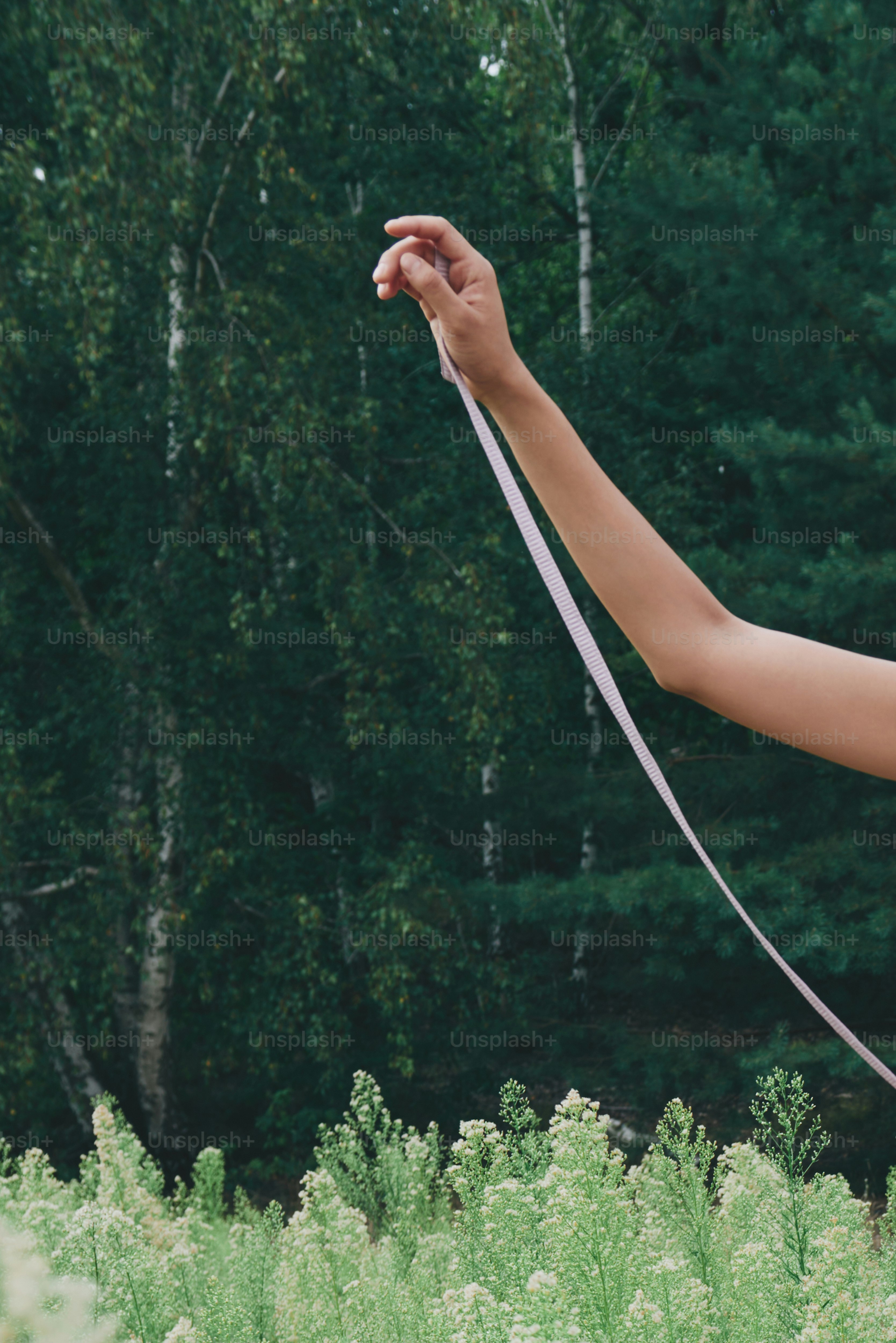 A woman is holding a kite in her hand