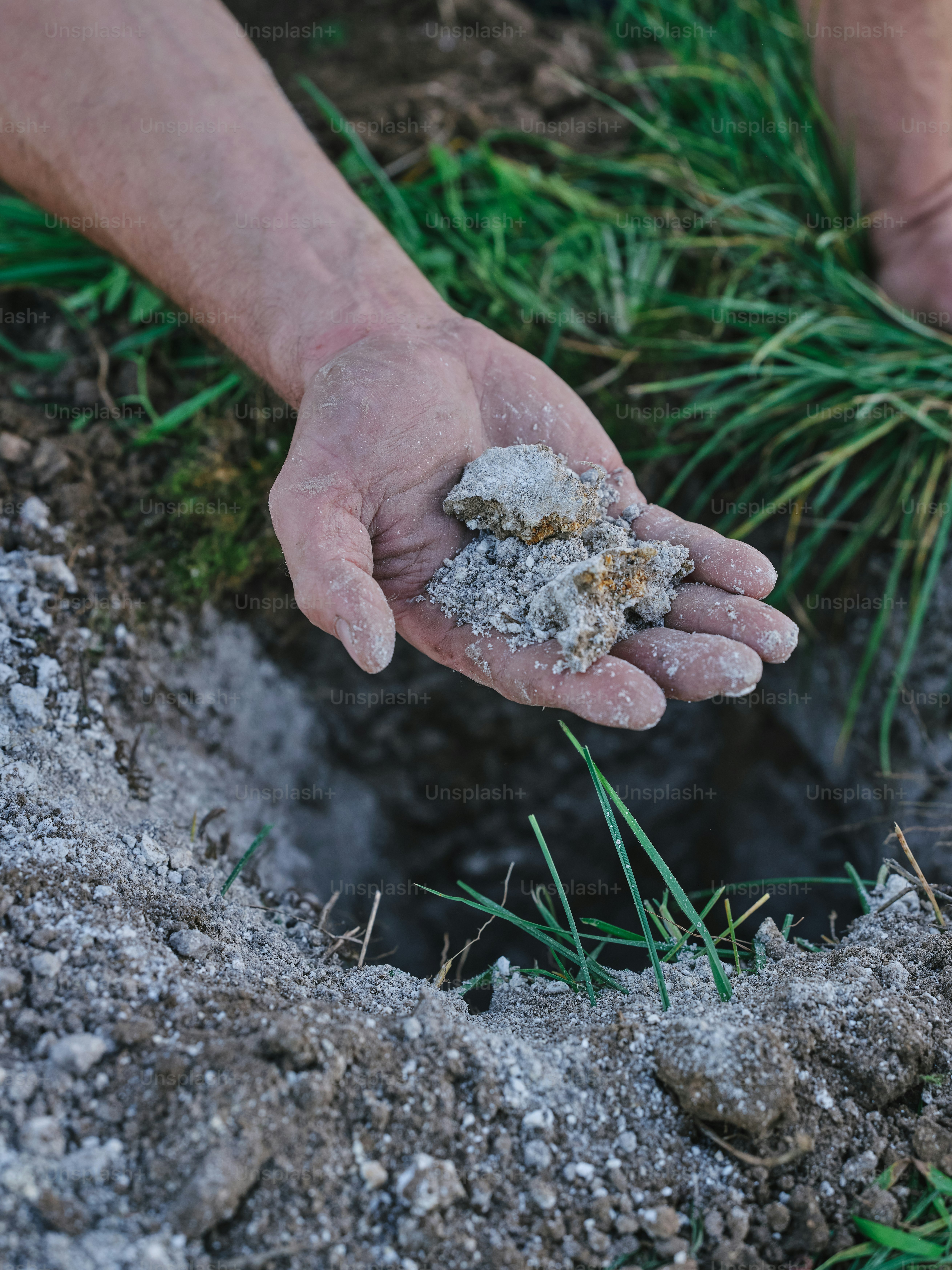 A person holding something in their hands in the dirt