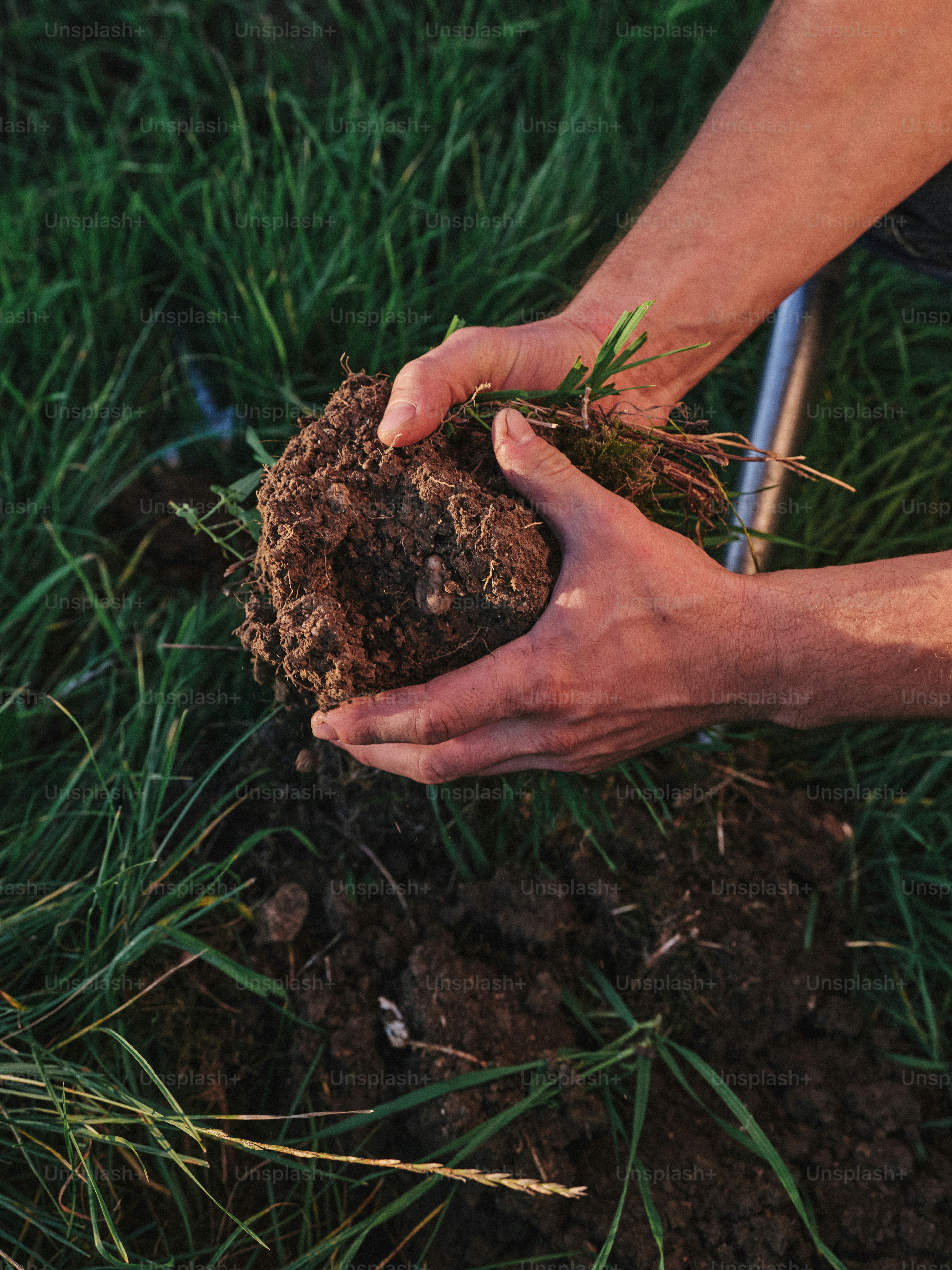 Eine Person, die einen Ball Erde in den Händen hält