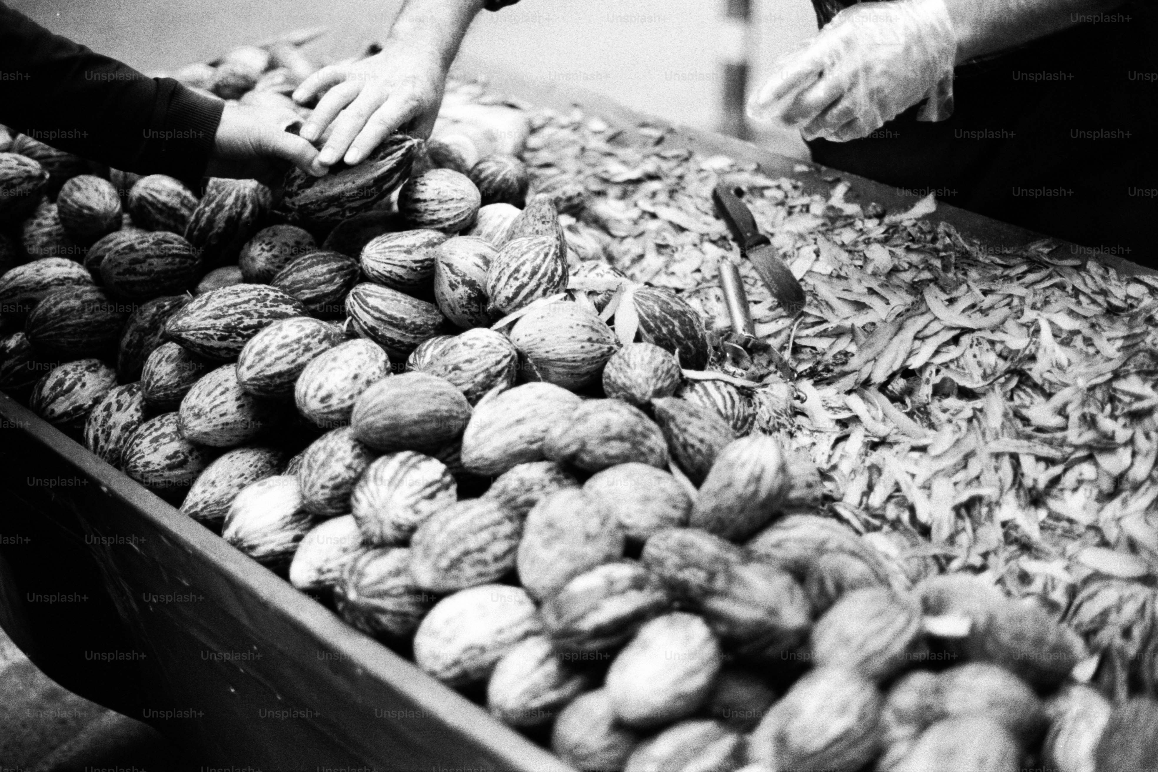 A man is scooping peanuts into a bin