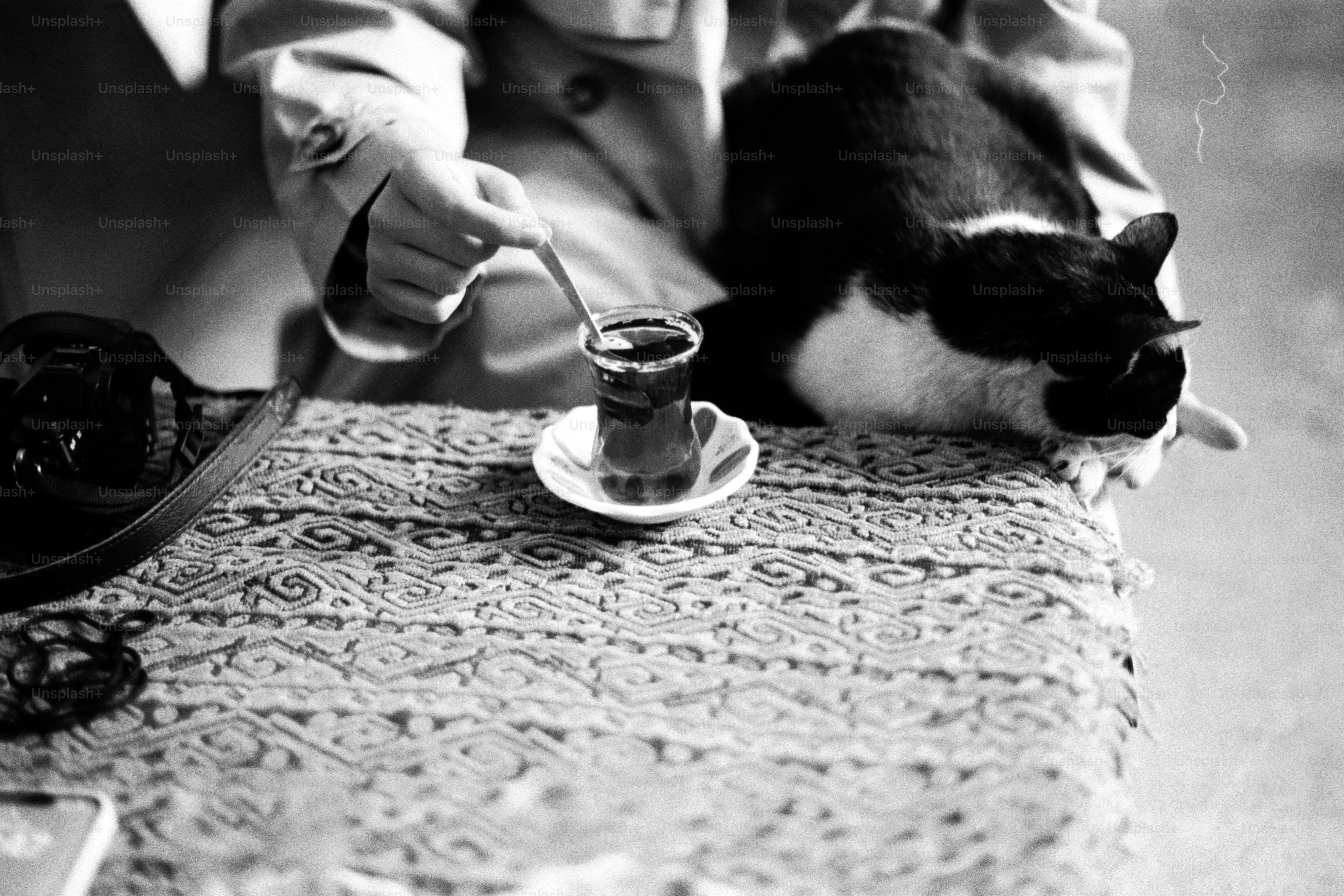 A black and white cat sitting on a table next to a person