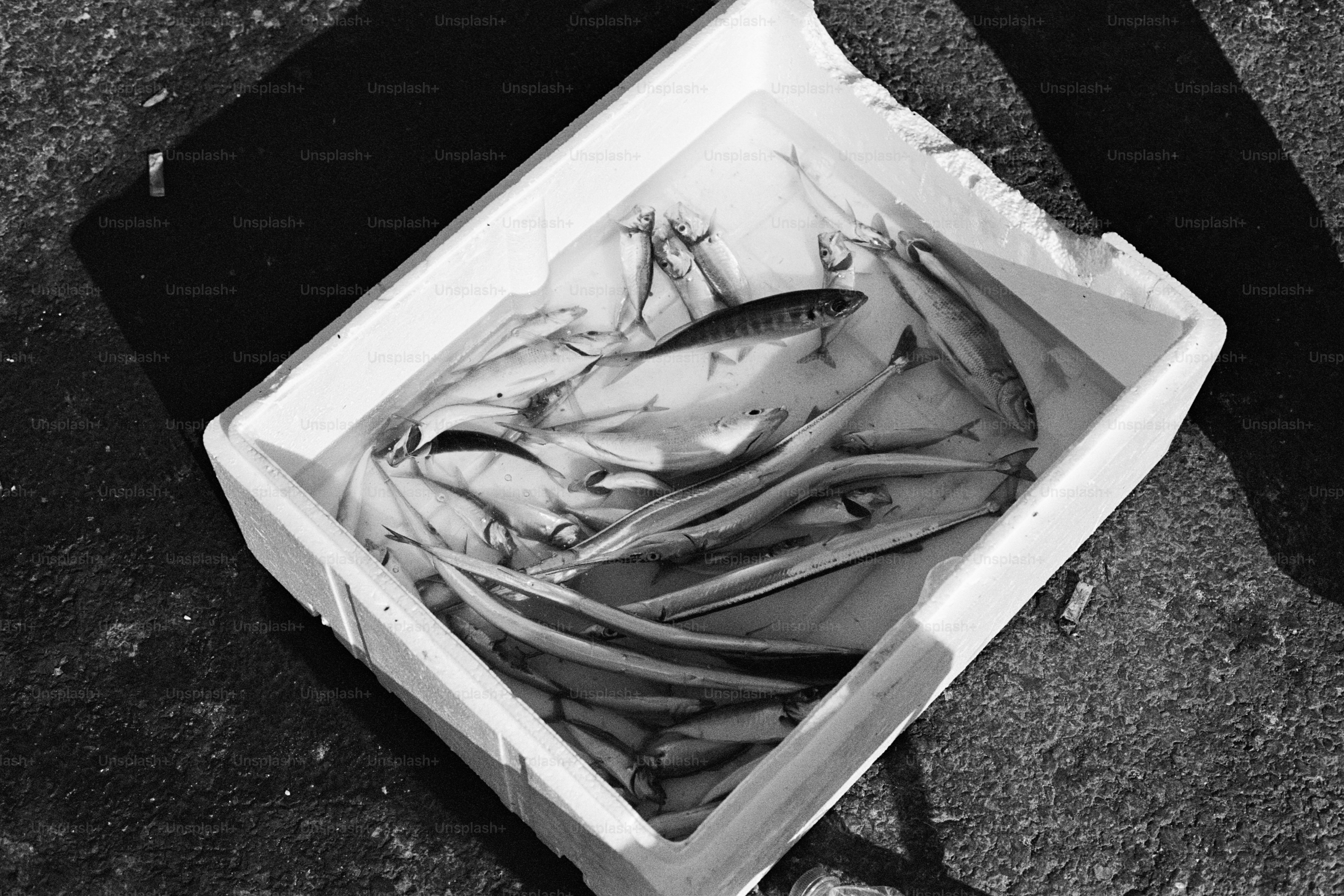 A black and white photo of a box of food