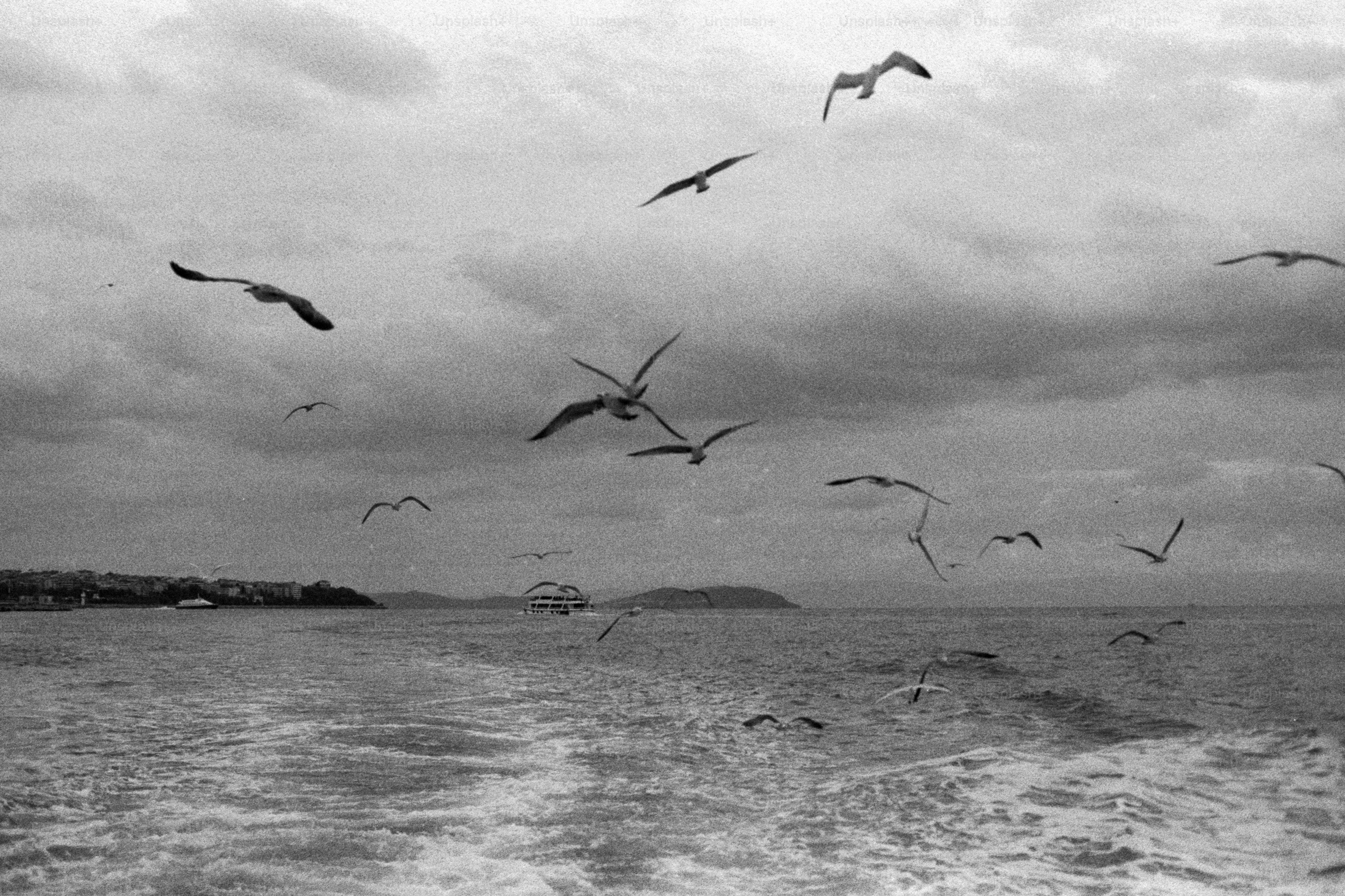 "חפש בתוך עצמך ותמצא את העולם": דיאלוג בין משנתו של רו