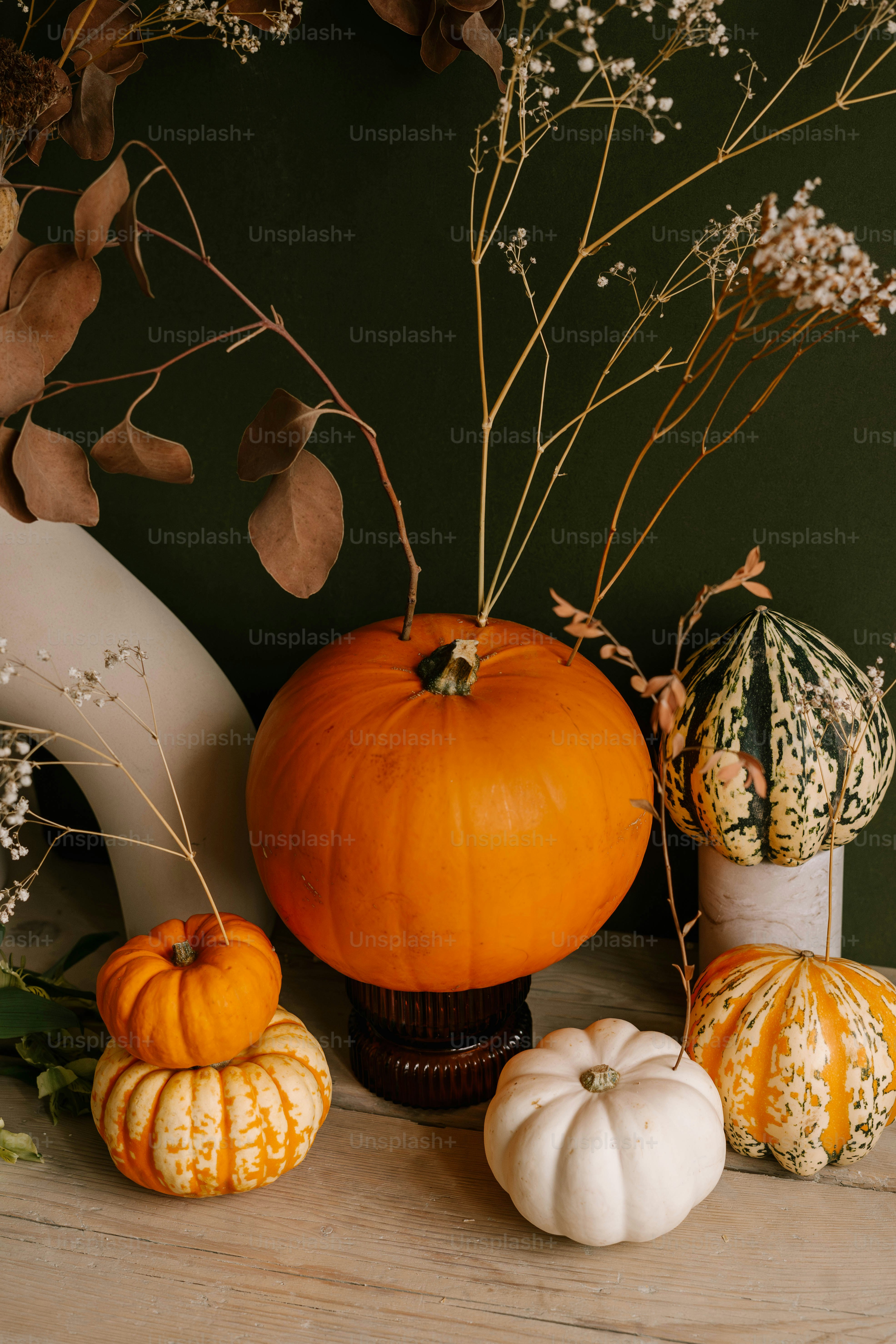 A table topped with lots of different types of pumpkins