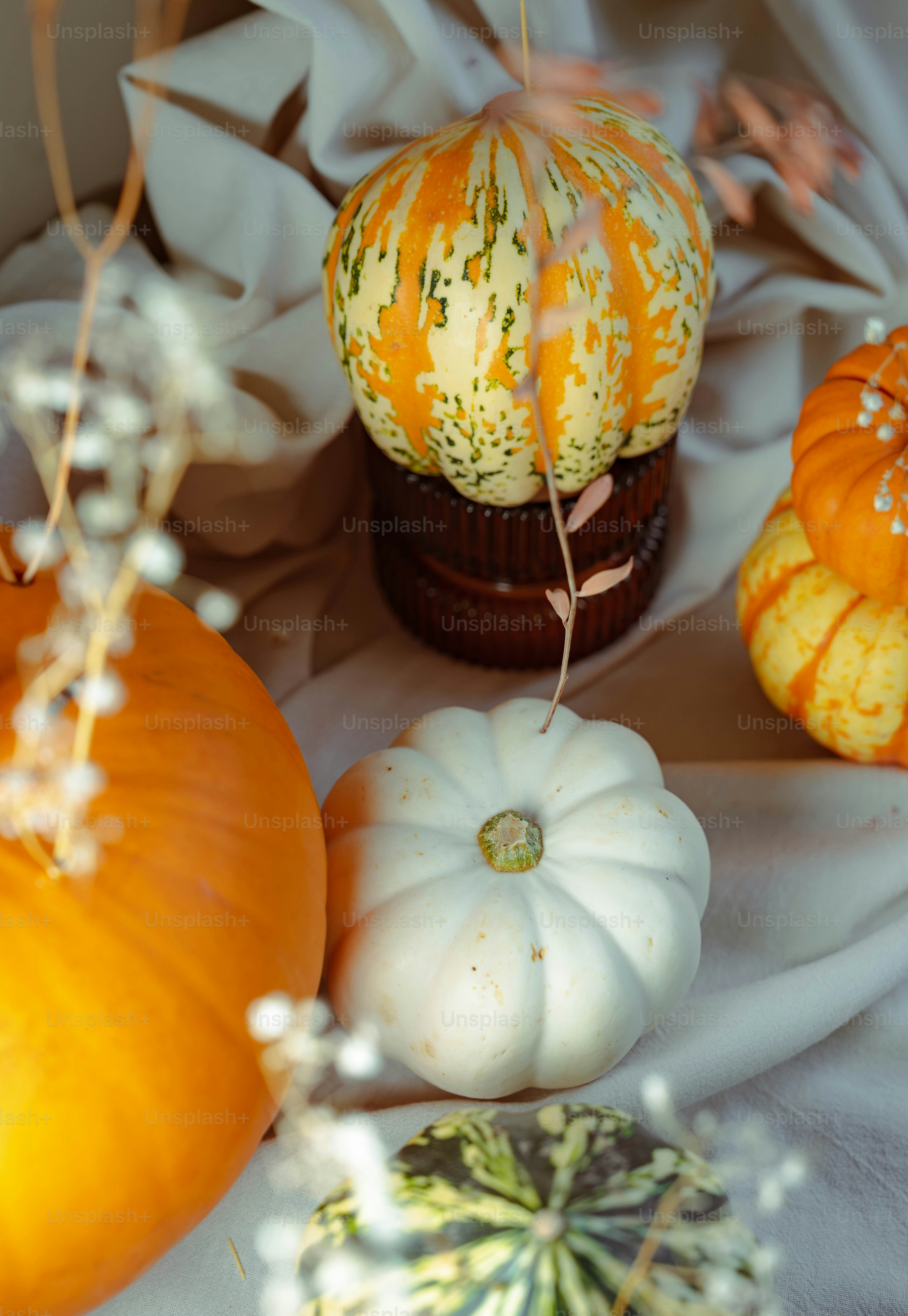 Um grupo de abóboras sentadas em cima de uma mesa