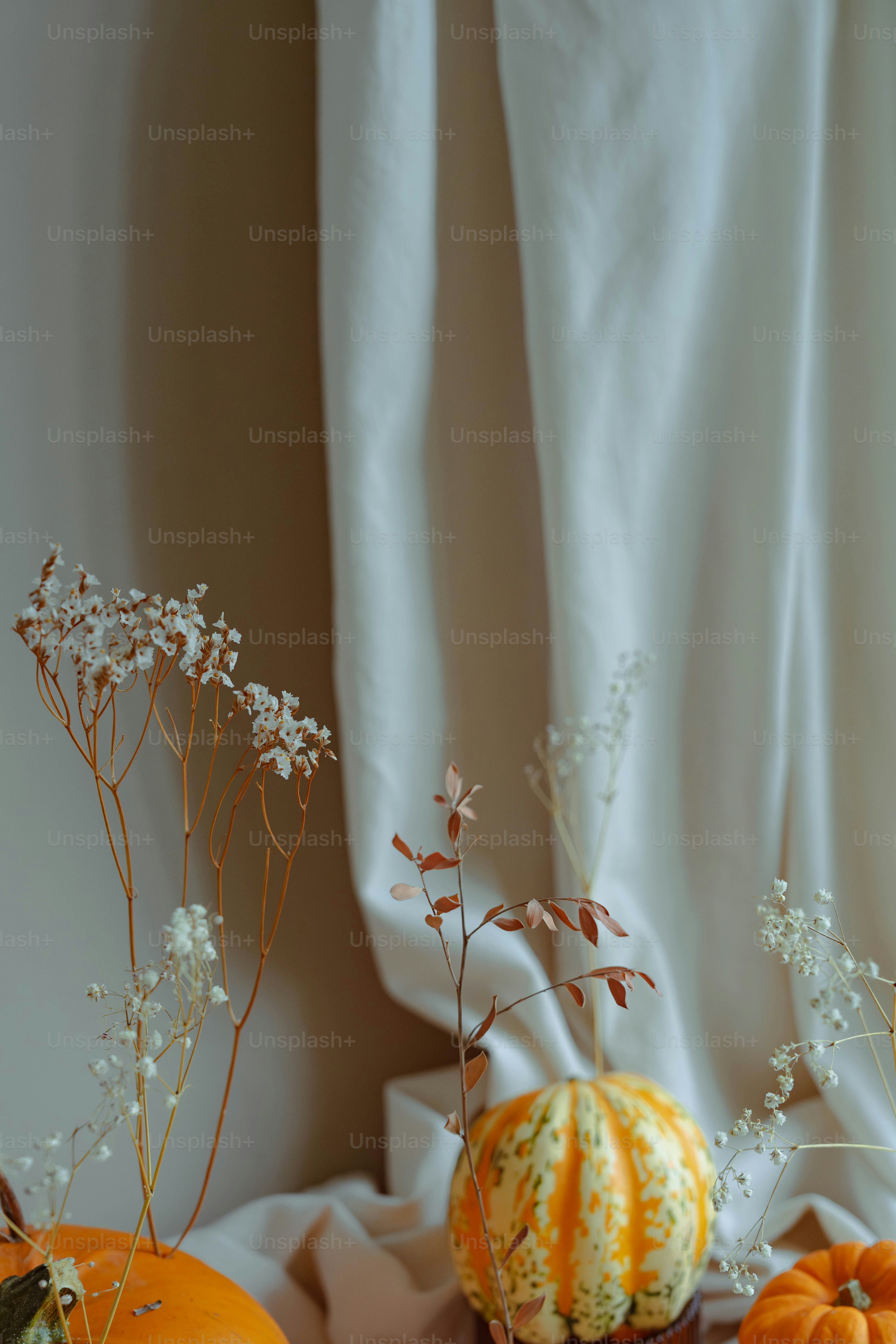 Eine Gruppe von Kürbissen, die auf einem Tisch sitzen