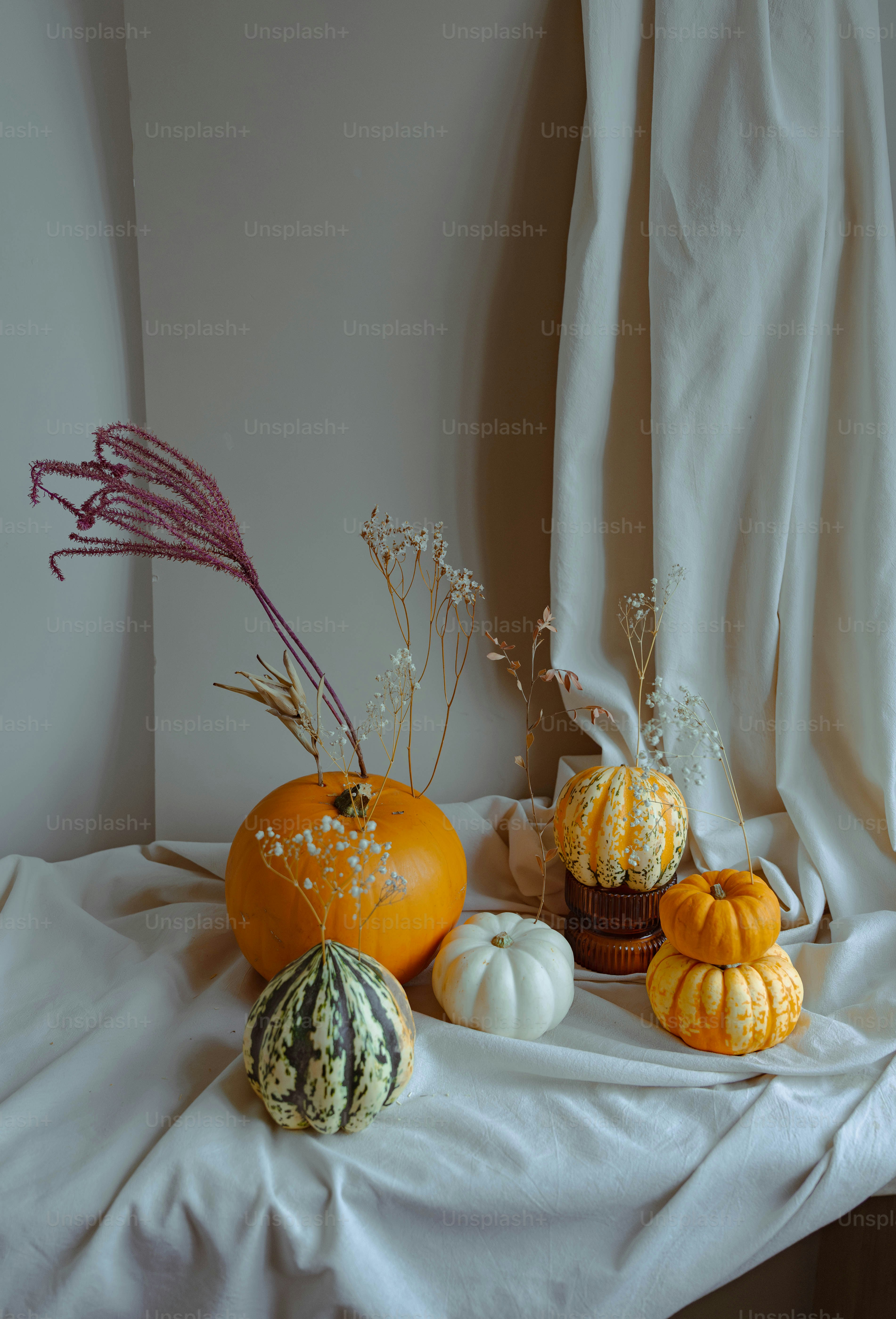 A table topped with lots of different types of pumpkins