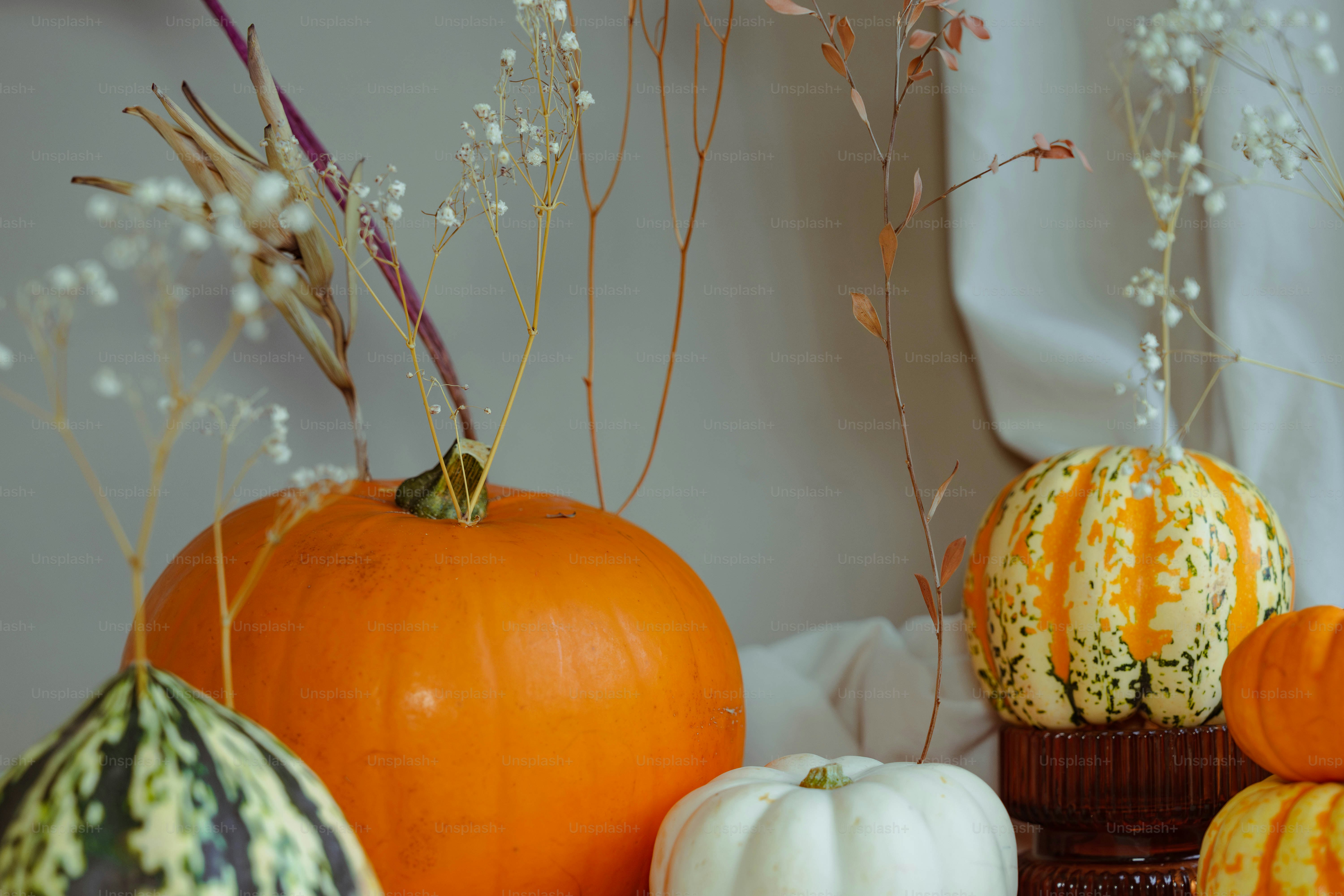 A table topped with pumpkins and gourds