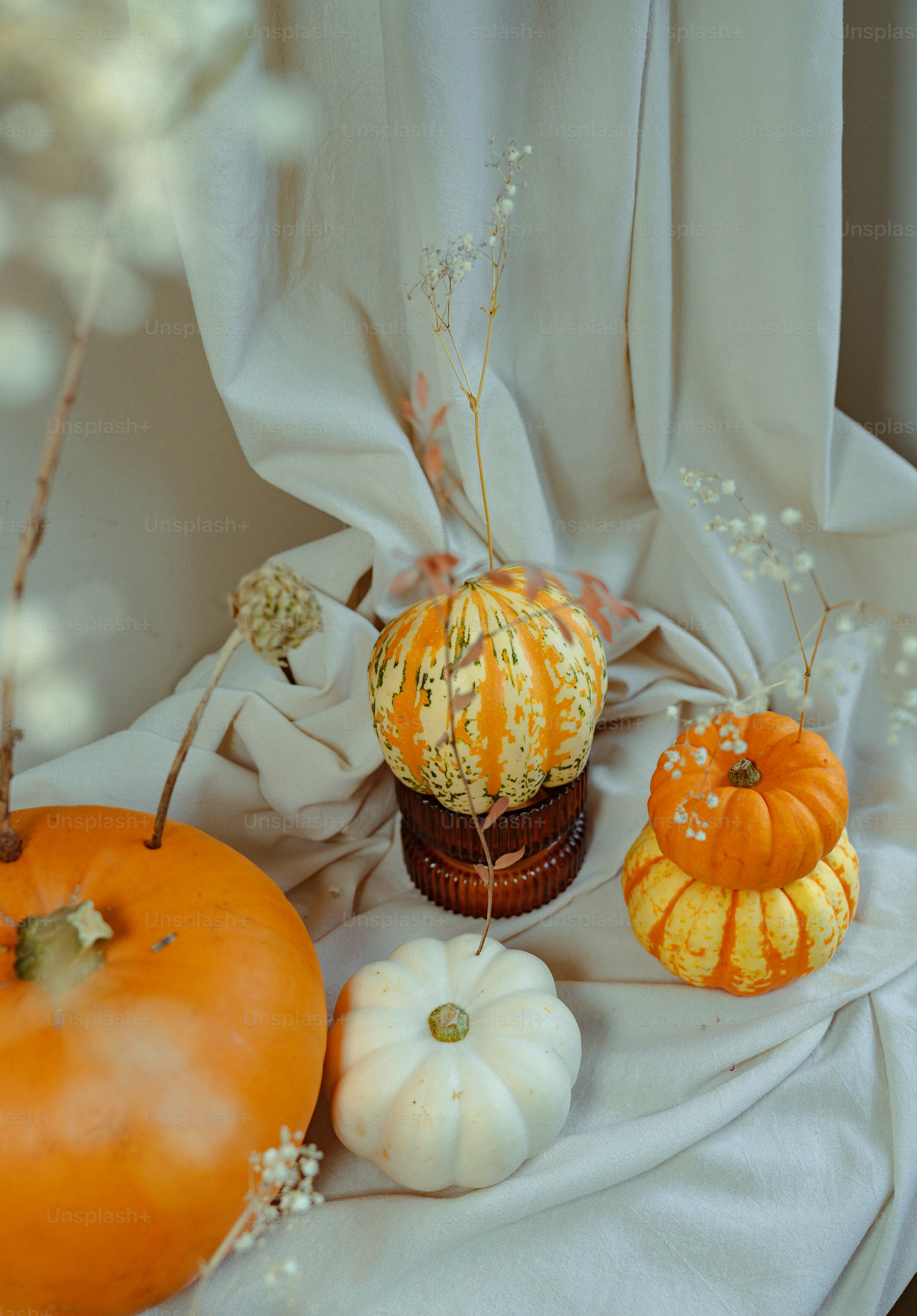 Um grupo de abóboras sentadas em cima de uma mesa