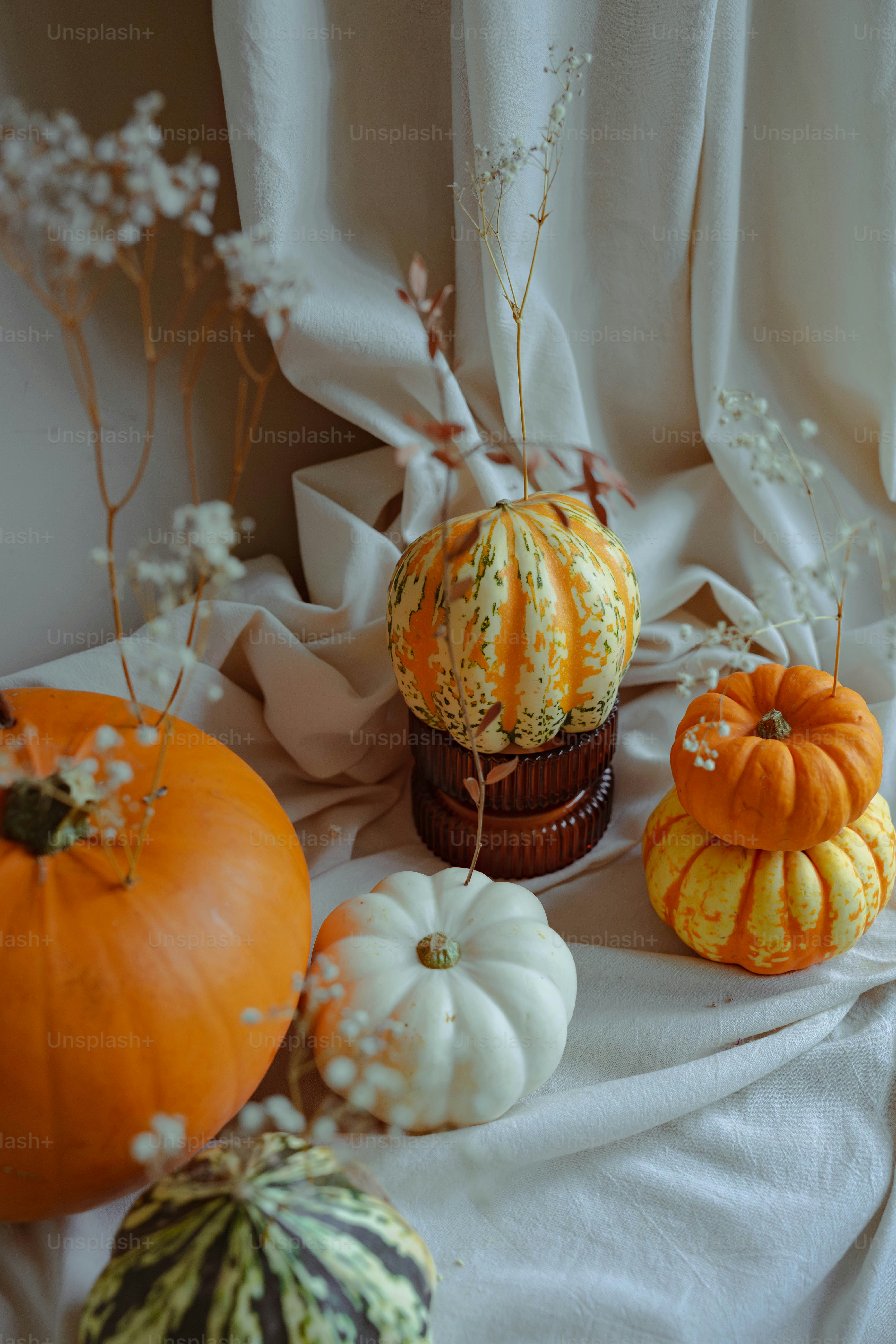 Uma mesa coberta com abóboras e cabaças ao lado de uma janela