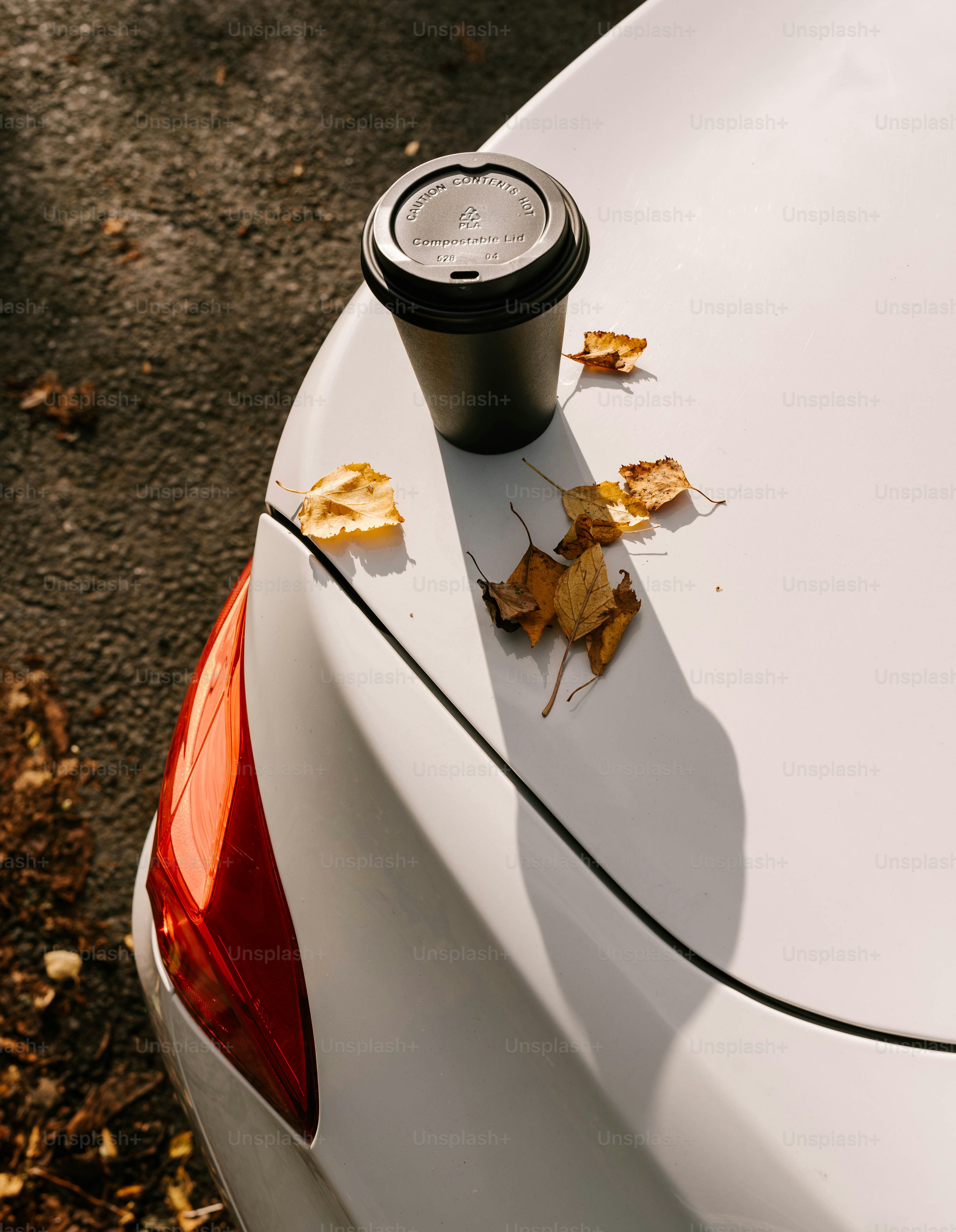 A white car with leaves on the hood