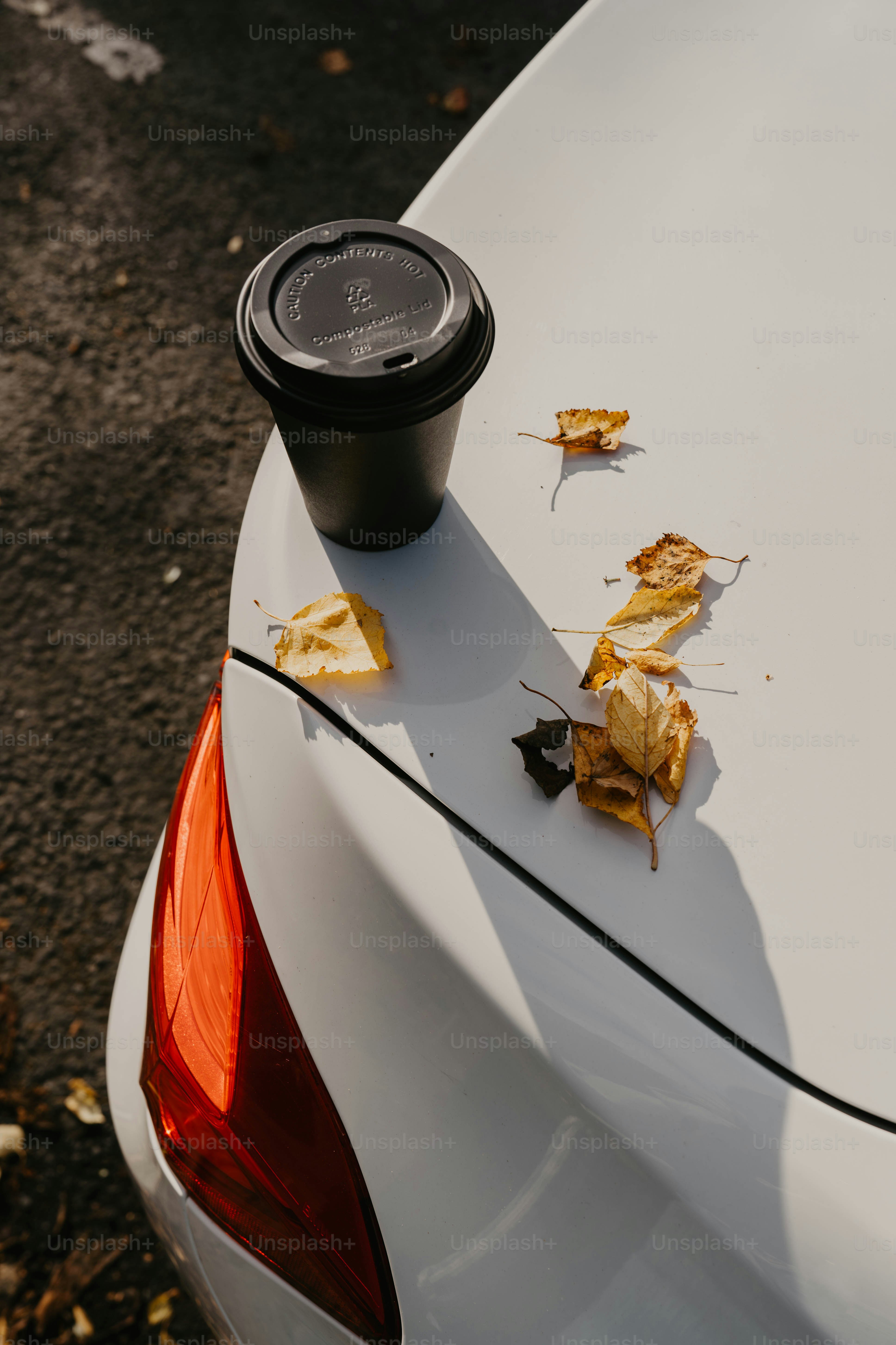 premium_photo-1729096976964-f471c5a74b8d?ixid=M3wxMjA3fDB8MXxzZWFyY2h8OXx8cGxheWZ1bCUyMGNhciUyMGpva2UlMjBtdWdzfGVufDB8fHx8MTc2NjIxODkyMnww\u0026ixlib=rb-4.1.0