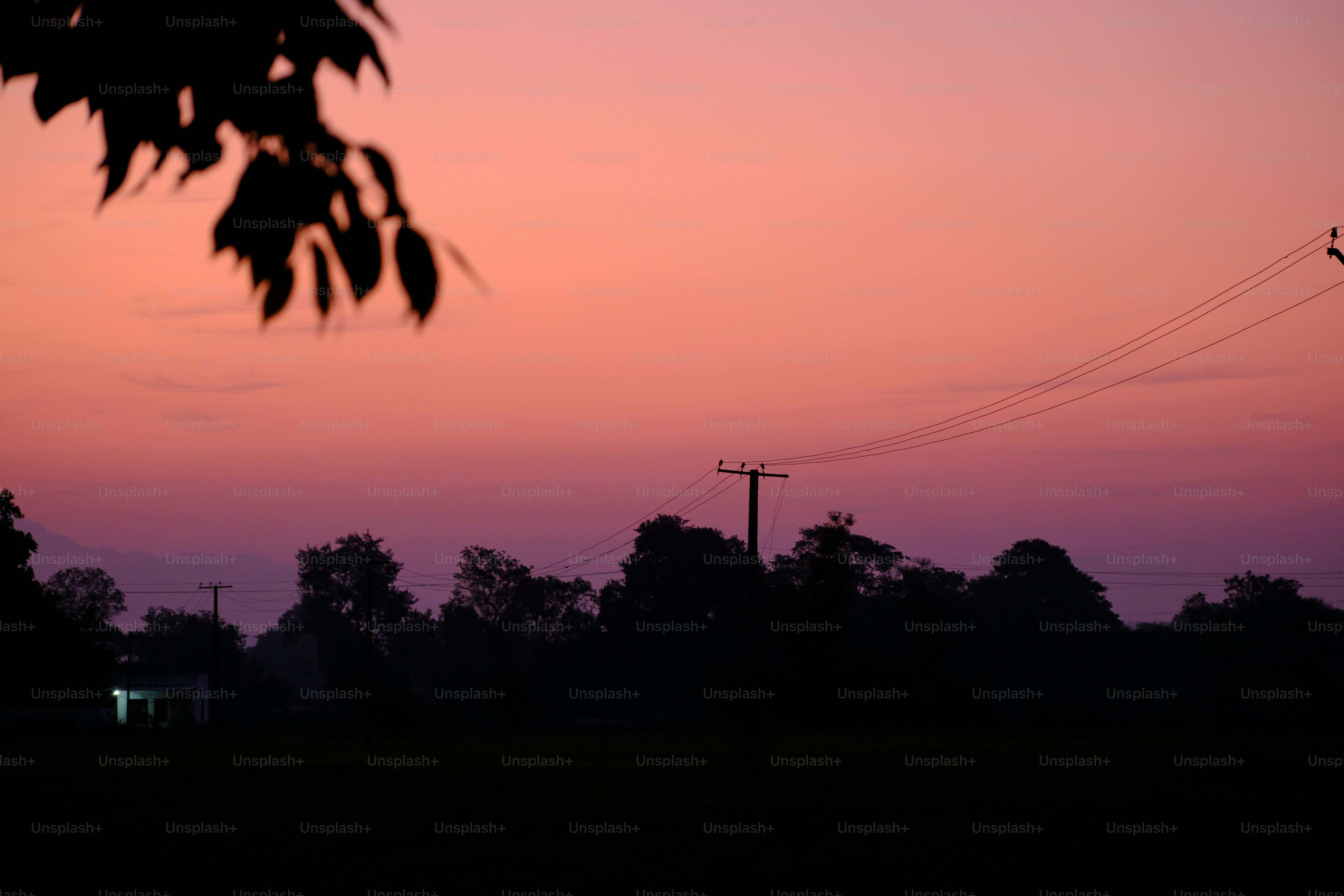 Le ciel est rose et violet au coucher du soleil