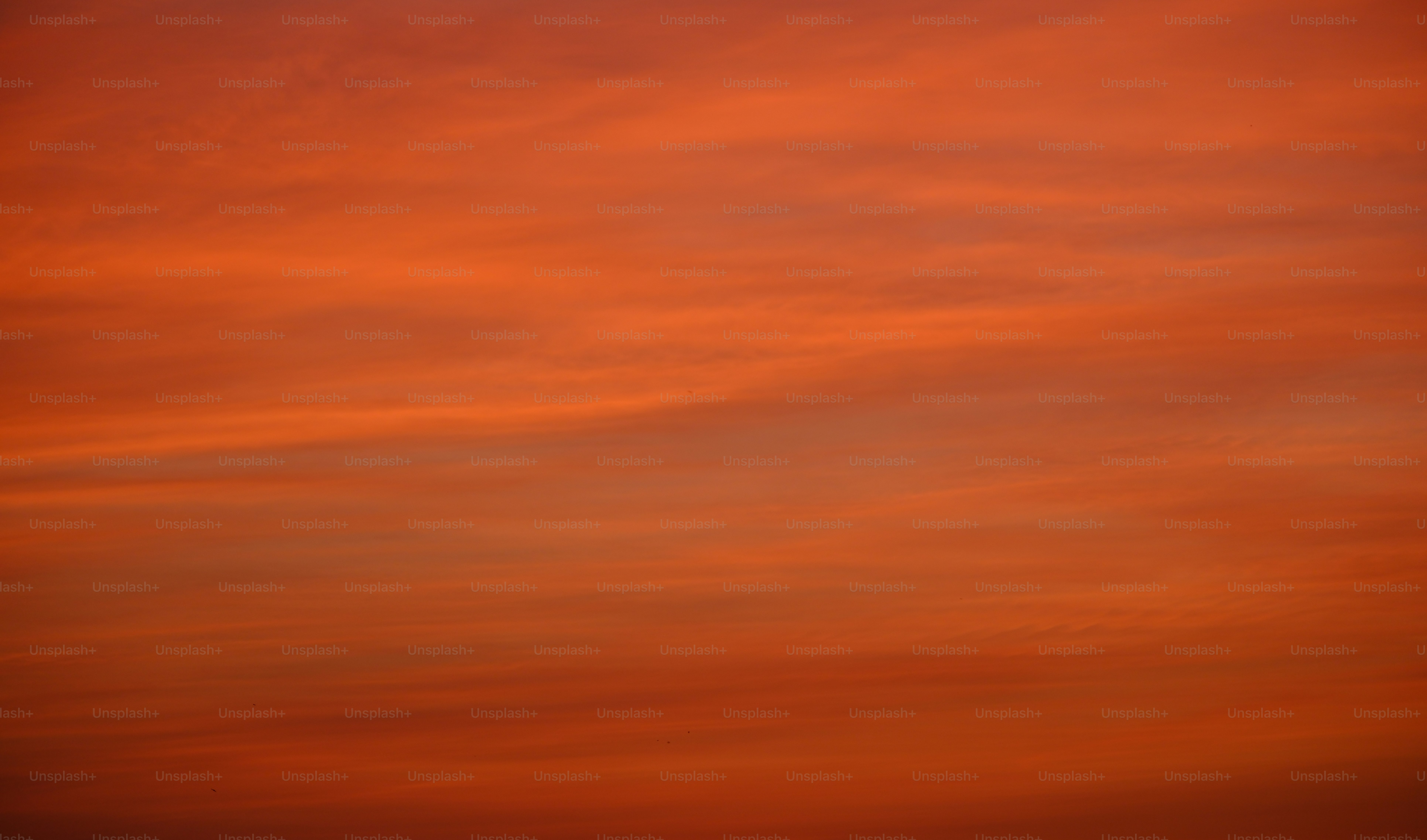 A plane flying in the sky at sunset