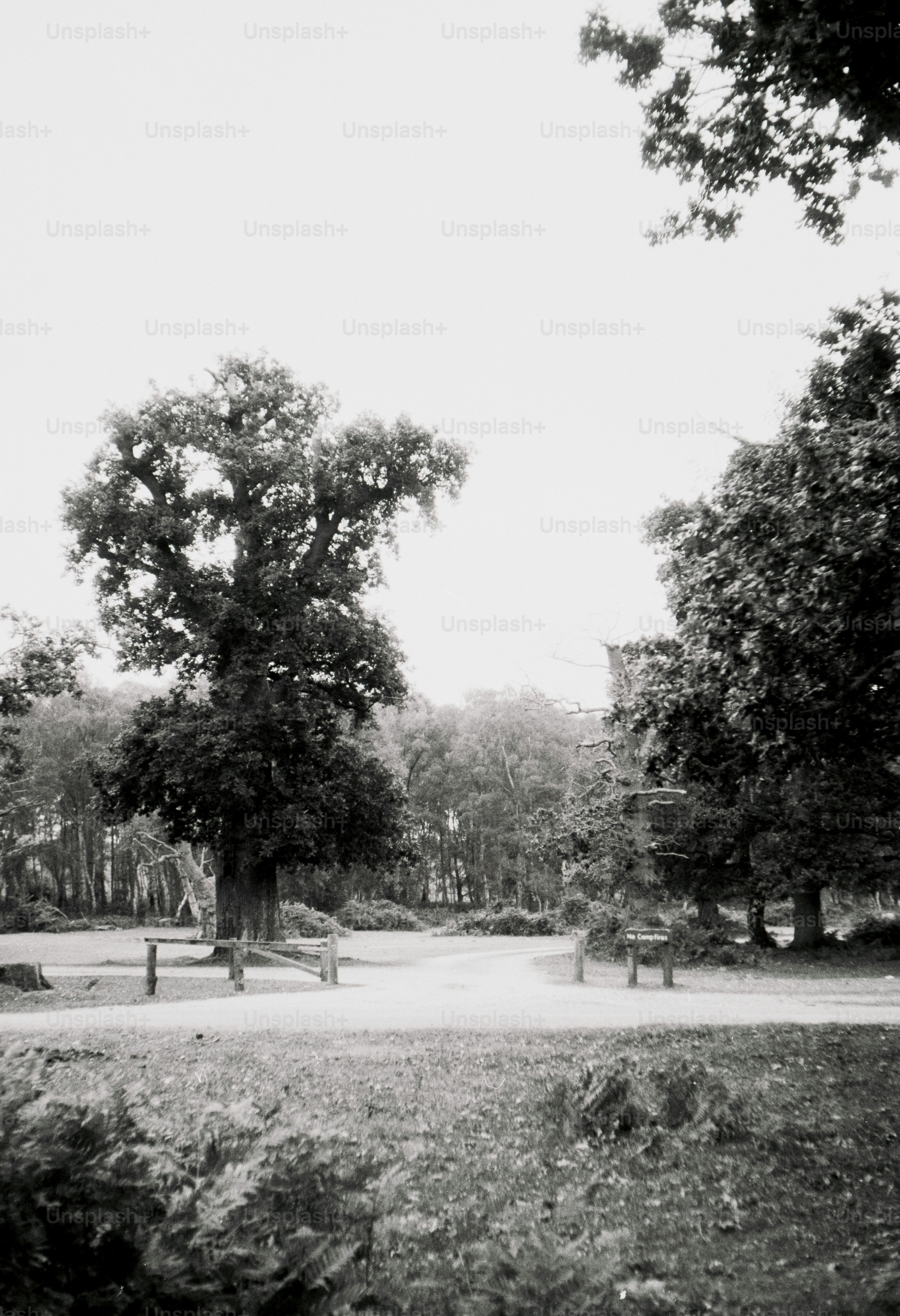 A black and white photo of a park